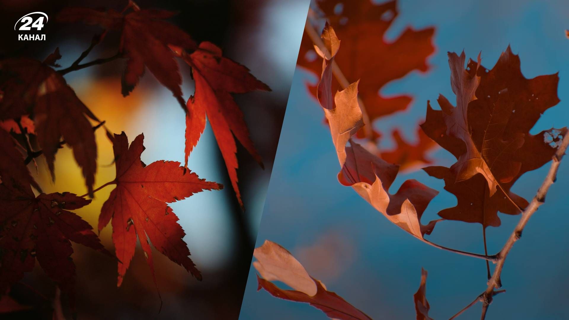 Погода по Україні 3 листопада 2024 року - 24 Канал Погода по Україні 3 листопада 2024 року - 24 Канал