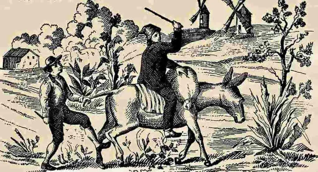 Оптична ілюзія з обличчям жінки Оптична ілюзія з обличчям жінки