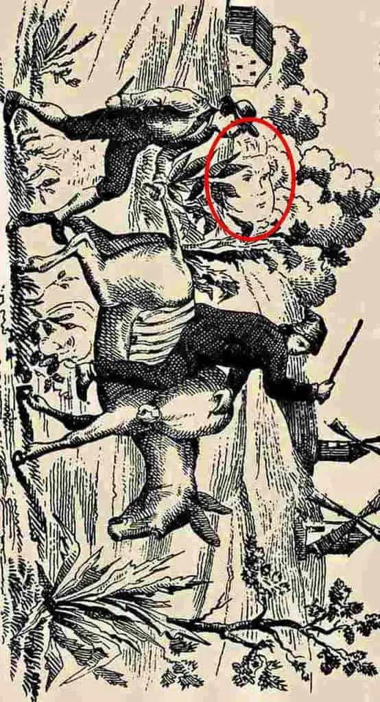 Оптична ілюзія з обличчям жінки Оптична ілюзія з обличчям жінки