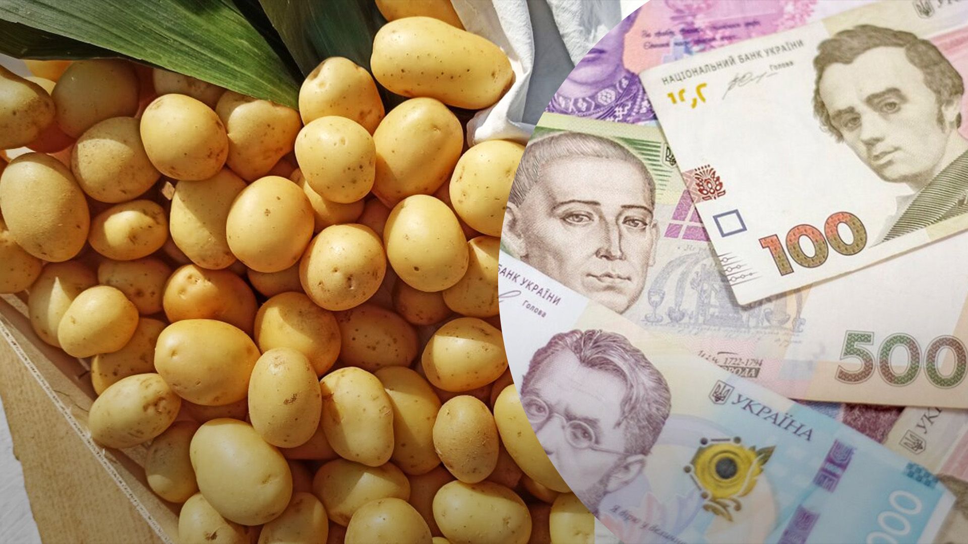 Якою буде вартість картоплі Якою буде вартість картоплі