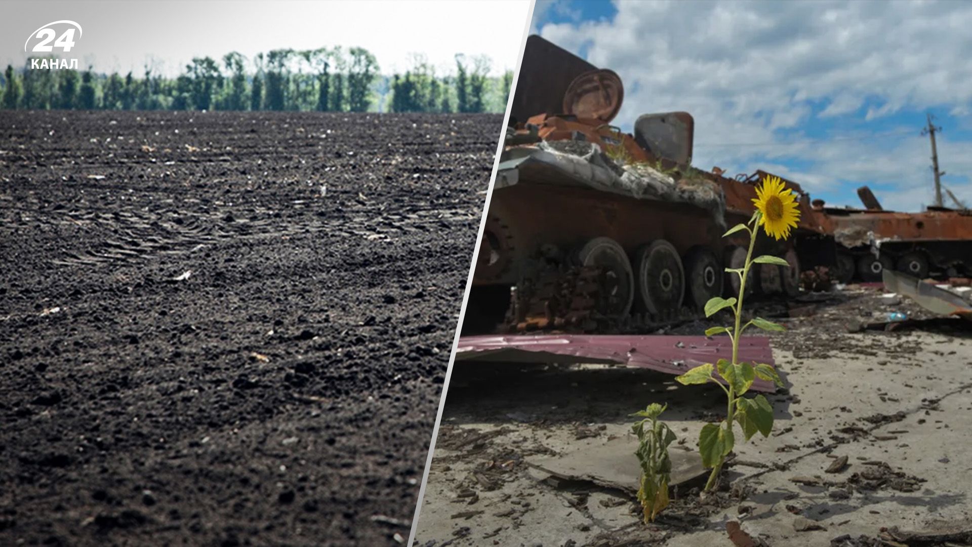 Ґрунти – найбільш забруднене середовище Ґрунти – найбільш забруднене середовище