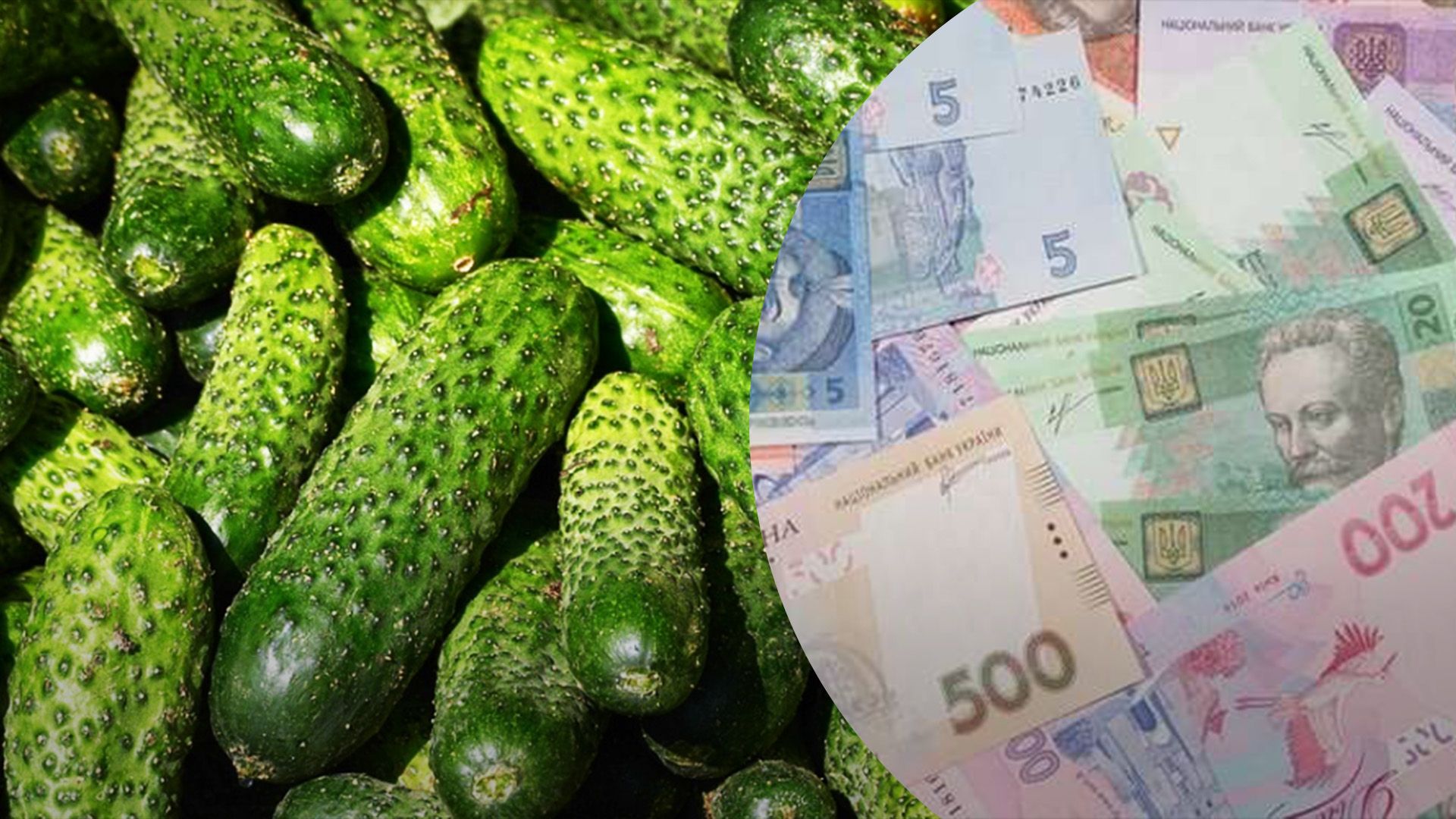 Огурцы снова дорожают Огурцы снова дорожают