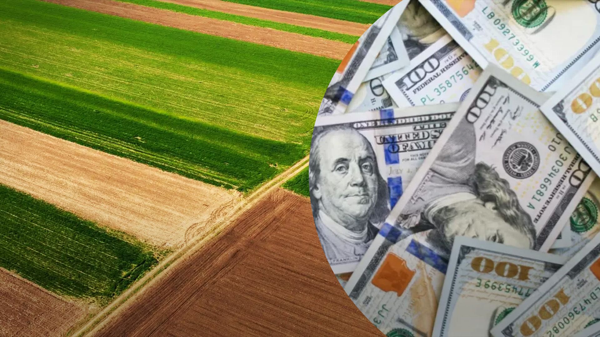 Ринок сільгоспземель нарощує капіталізацію Ринок сільгоспземель нарощує капіталізацію