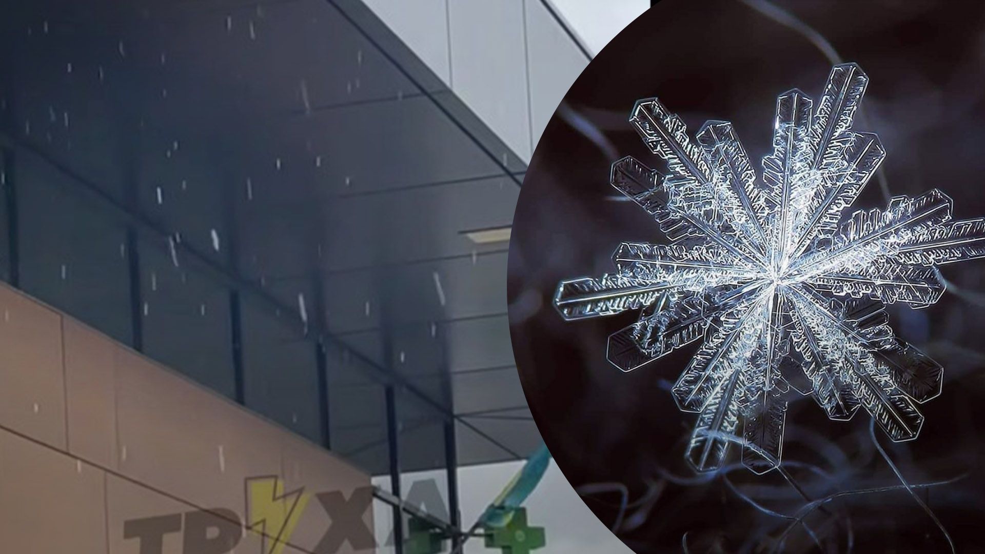 Первый снег увидели в Киеве Первый снег увидели в Киеве