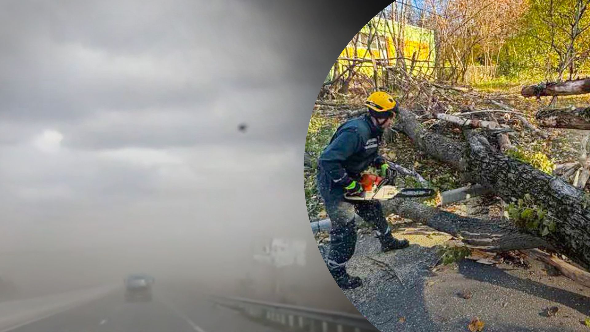 На Київщині штормовий вітер утворив пилову бурю та повалив десятки дерев - 24 Канал На Київщині штормовий вітер утворив пилову бурю та повалив десятки дерев - 24 Канал
