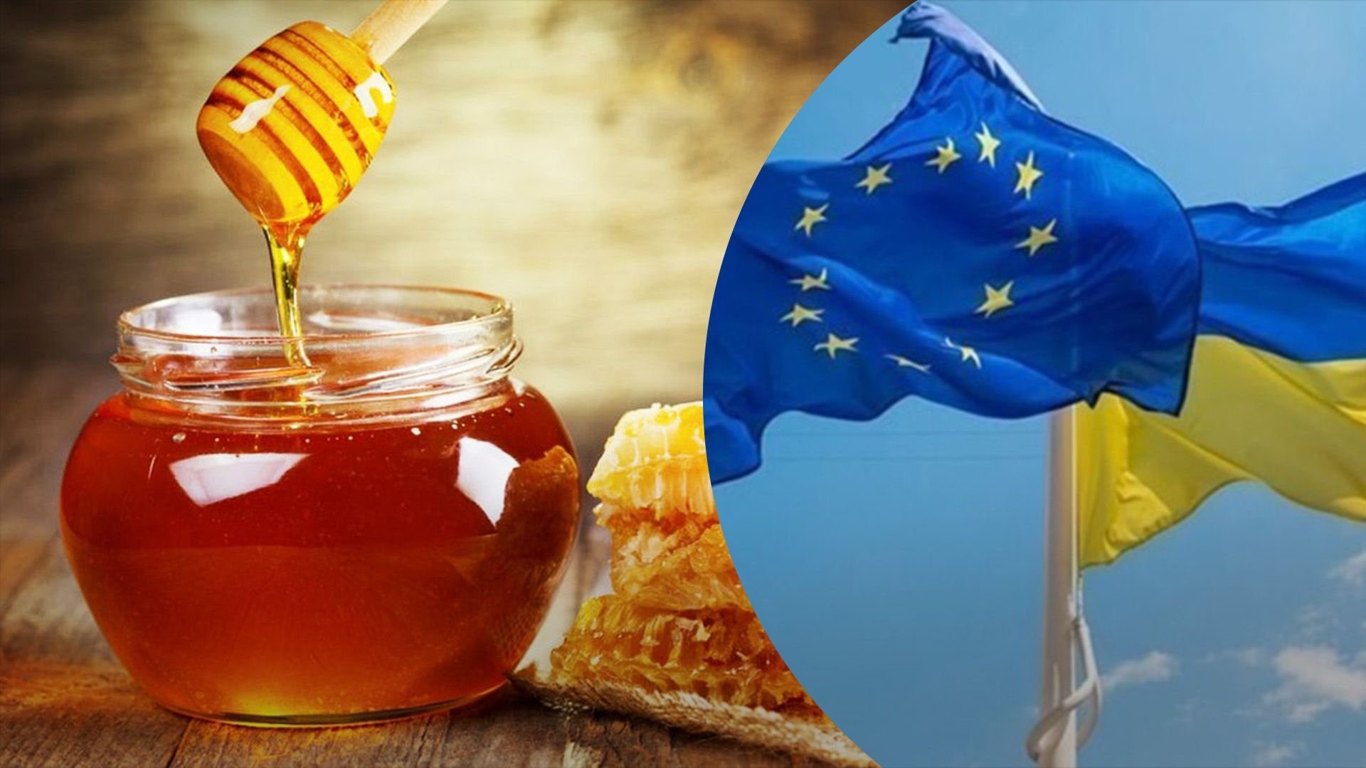 Україна нарощує експорт меду до ЄС Україна нарощує експорт меду до ЄС