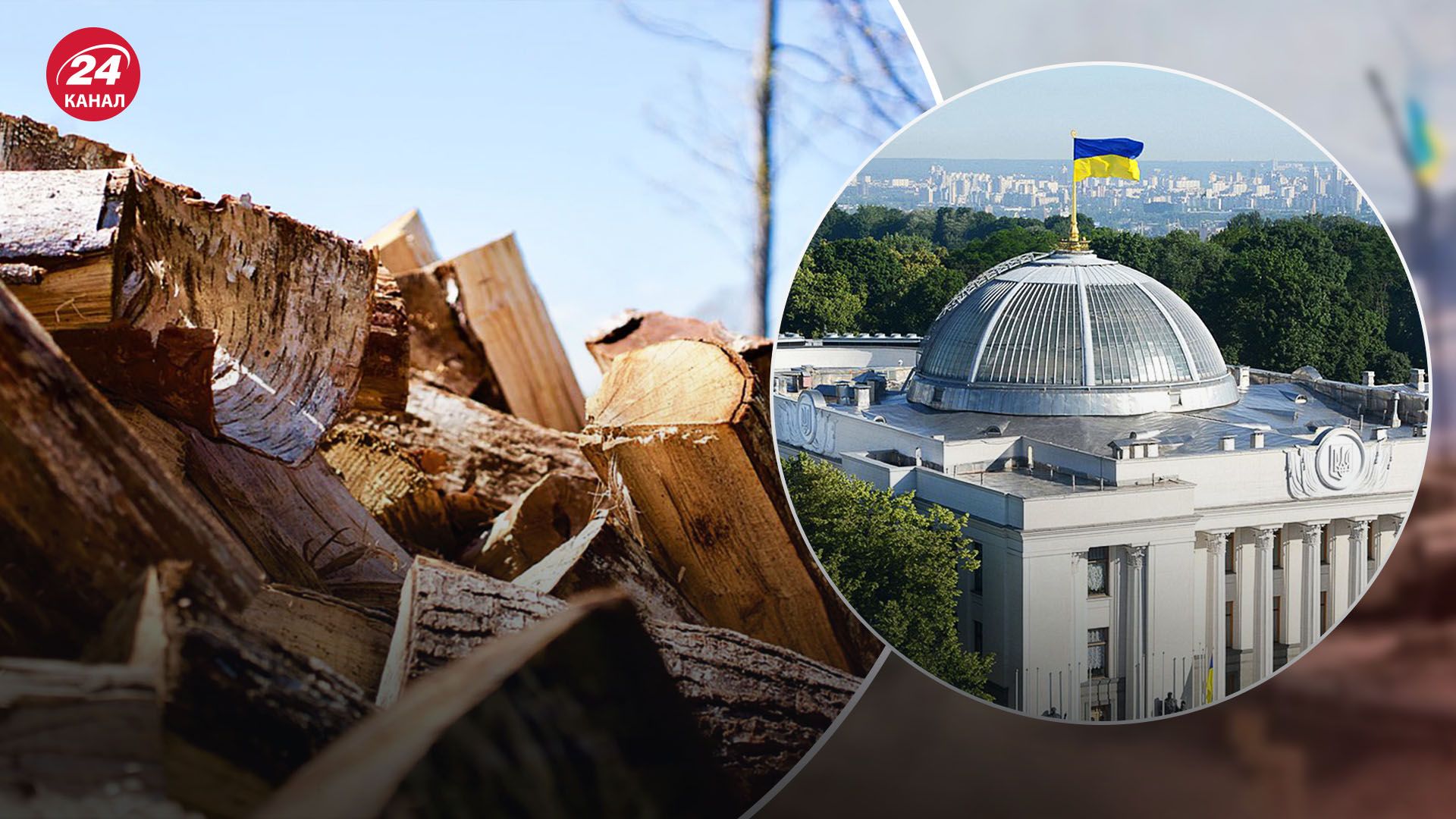 Нужно ли переживать украинцам: автор законопроекта о дровах расставил точки над "і" - 24 Канал Нужно ли переживать украинцам: автор законопроекта о дровах расставил точки над "і" - 24 Канал