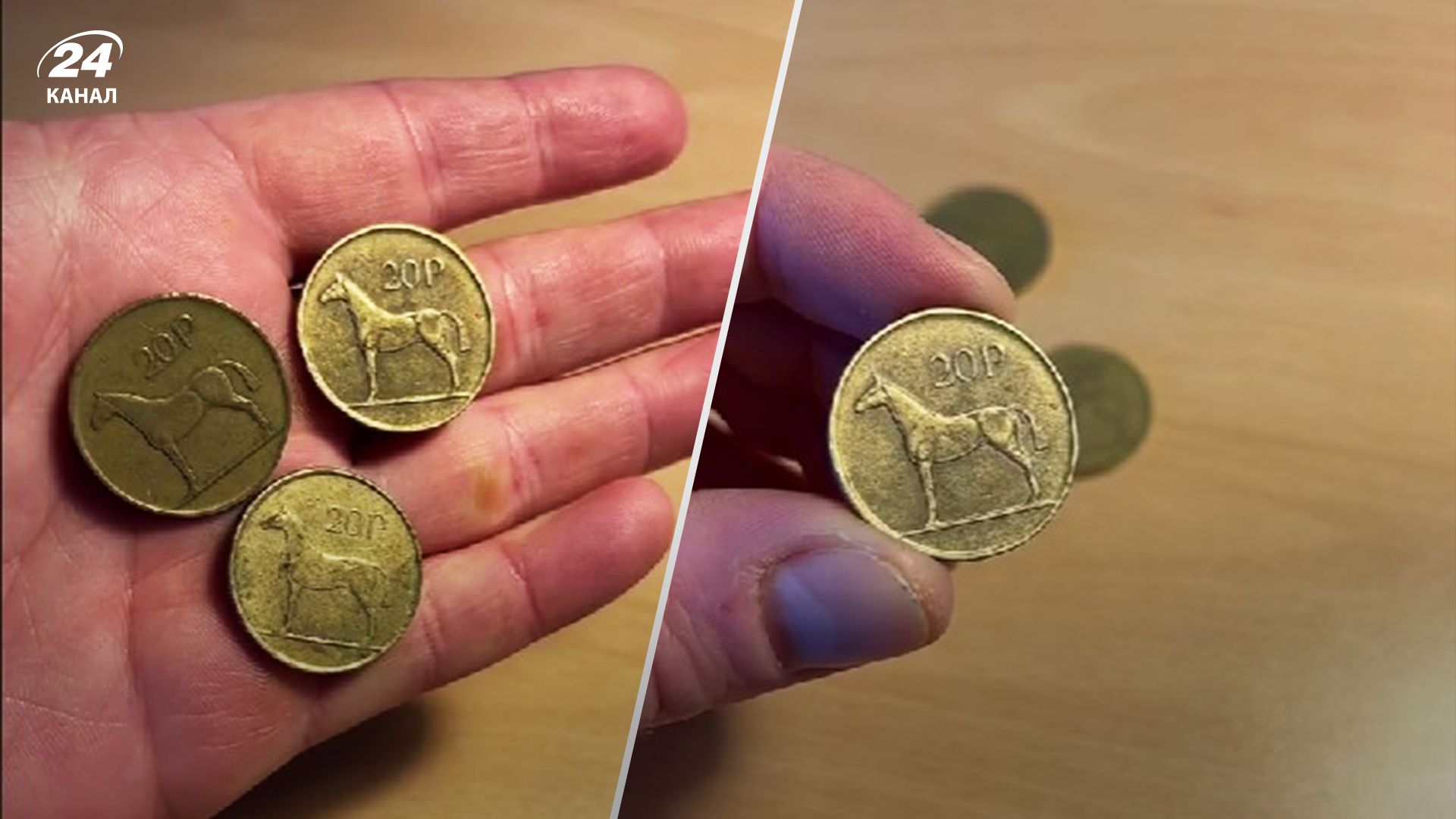 В Ірландії розшукують рідкісну 20-пенсову монету вартістю 15 000 євро В Ірландії розшукують рідкісну 20-пенсову монету вартістю 15 000 євро