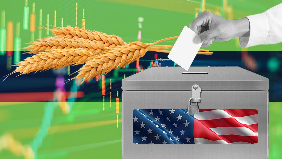 Яка ціна на зернові буде після президентських виборів Яка ціна на зернові буде після президентських виборів