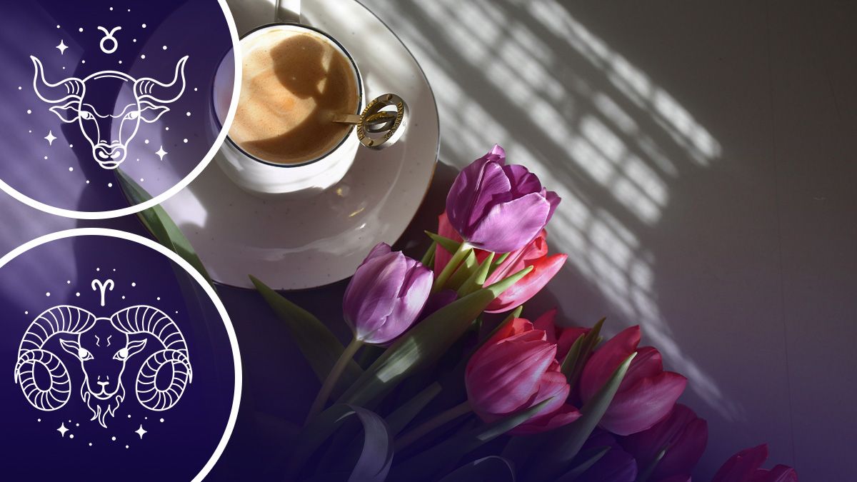 У кого осуществится мечта в 2025 году У кого осуществится мечта в 2025 году