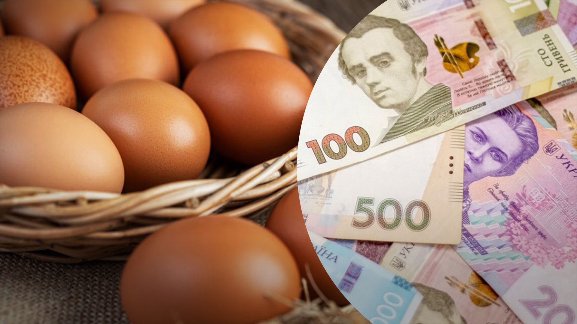 Чому різко здорожчали яйця Чому різко здорожчали яйця