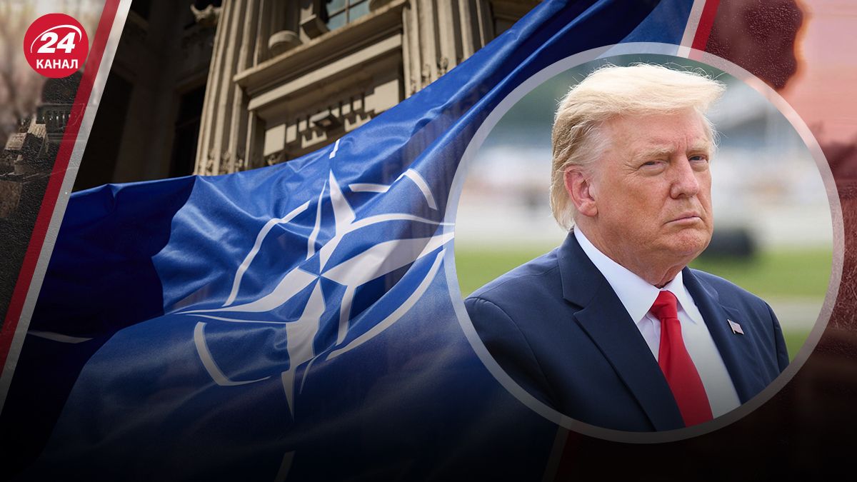 Вибори у США Вибори у США