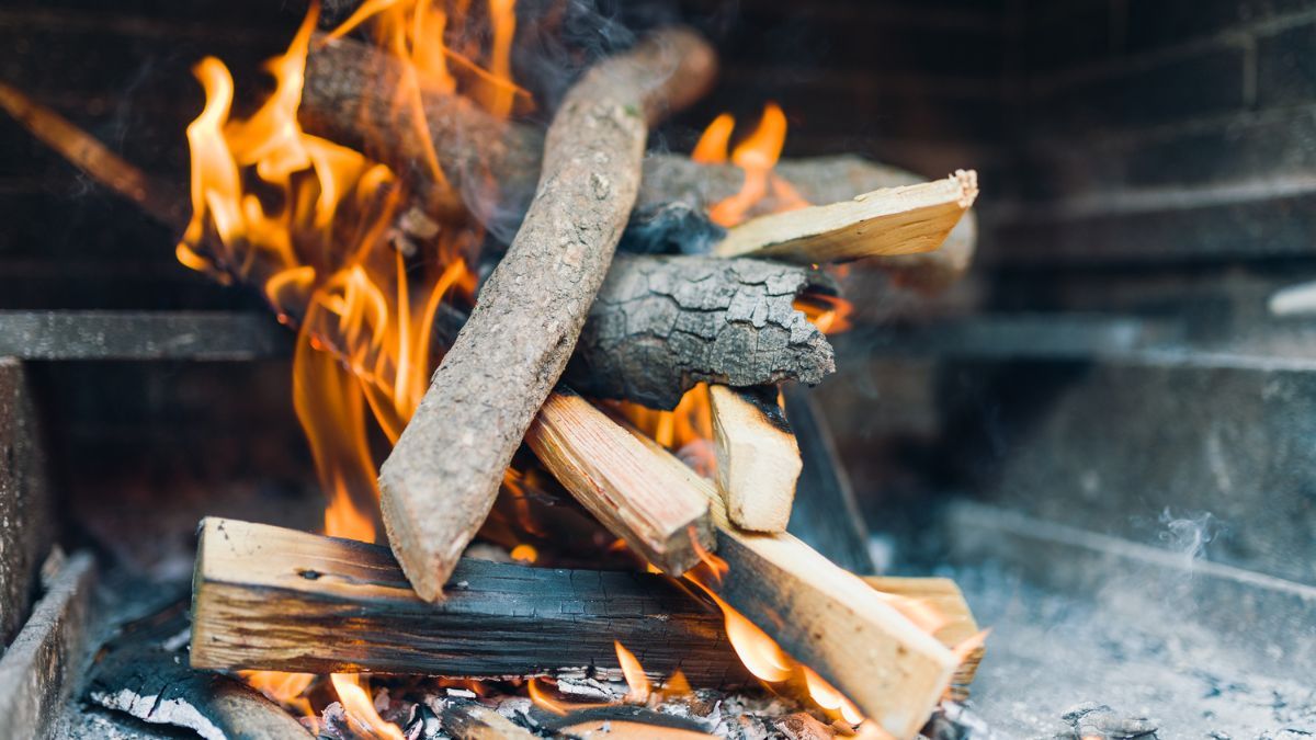 Як придбати дрова легально Як придбати дрова легально