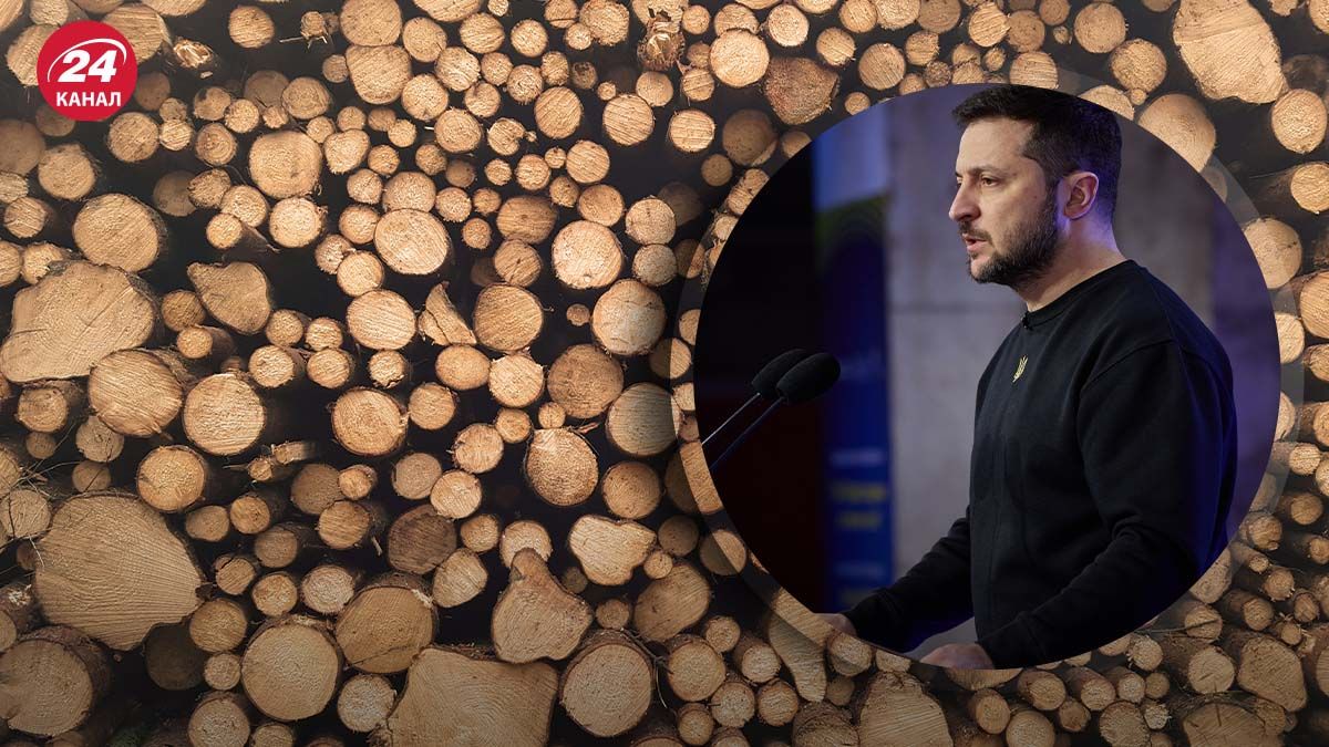 Зеленский не подпишет "закон о дровах" Зеленский не подпишет "закон о дровах"