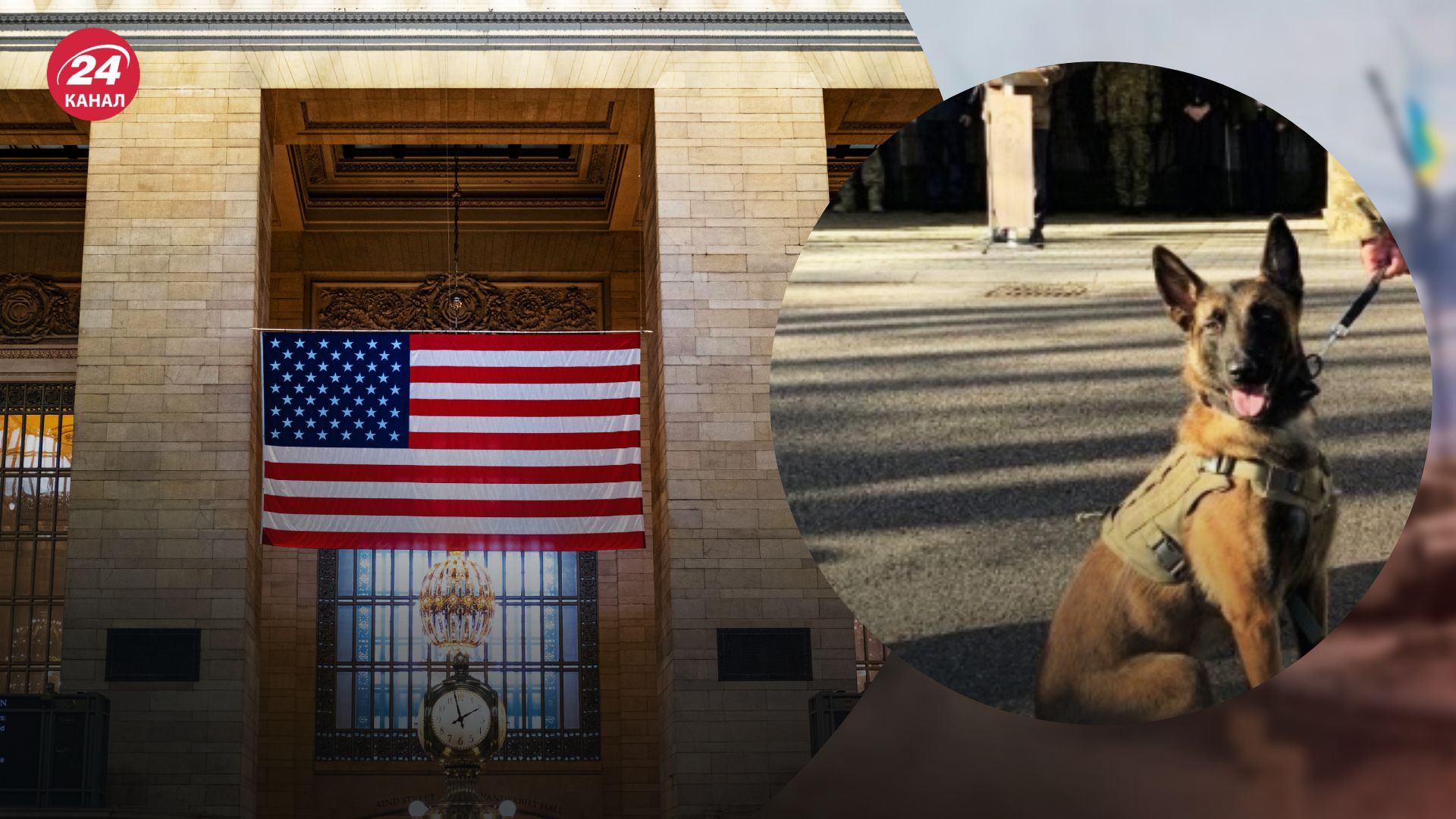 Выборы в США 2024 Выборы в США 2024