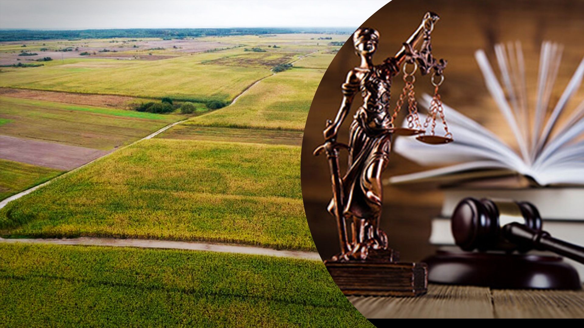 Как подарить землю, находясь за границей Как подарить землю, находясь за границей