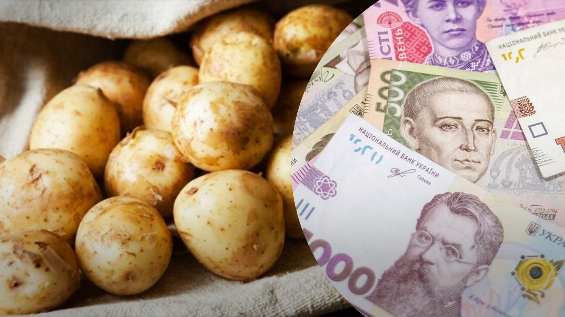 Що буде з цінами на картоплю у 2025 році - Агро 24 Що буде з цінами на картоплю у 2025 році - Агро 24