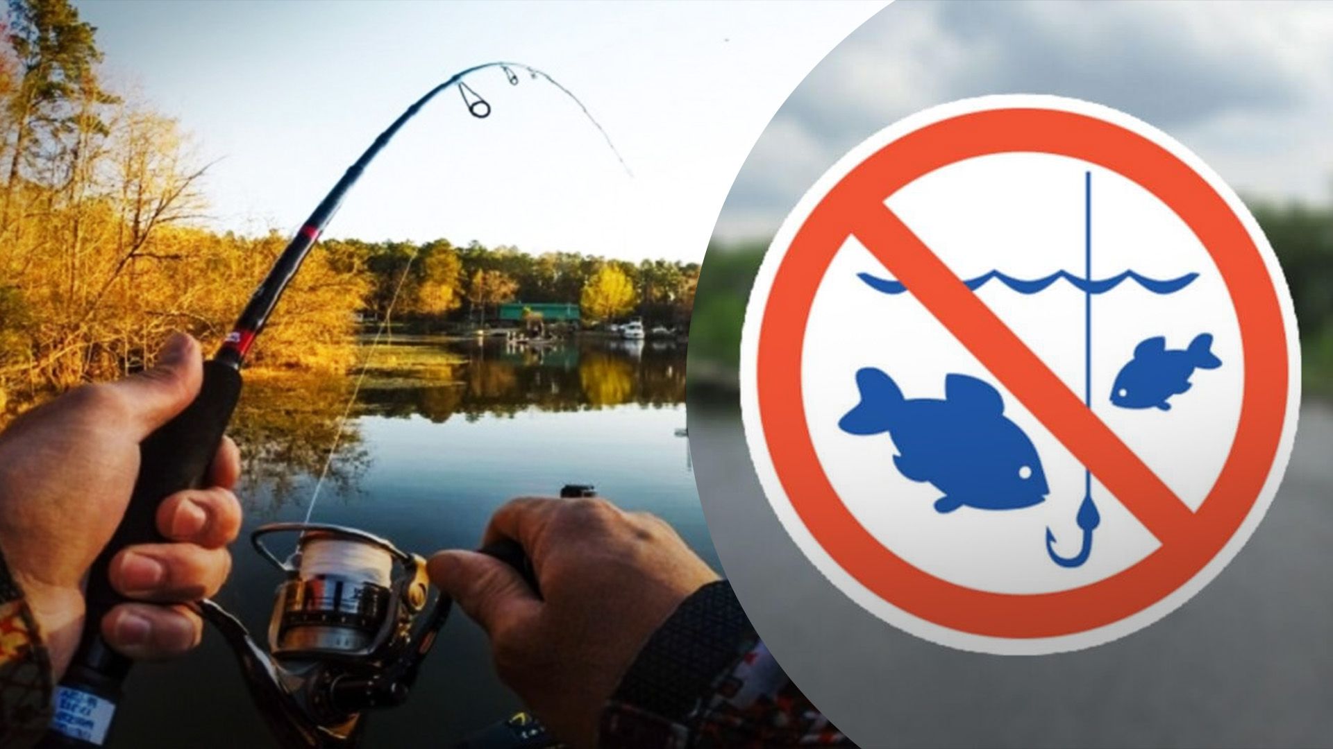 Где нельзя ловить рыбу с 1 ноября Где нельзя ловить рыбу с 1 ноября