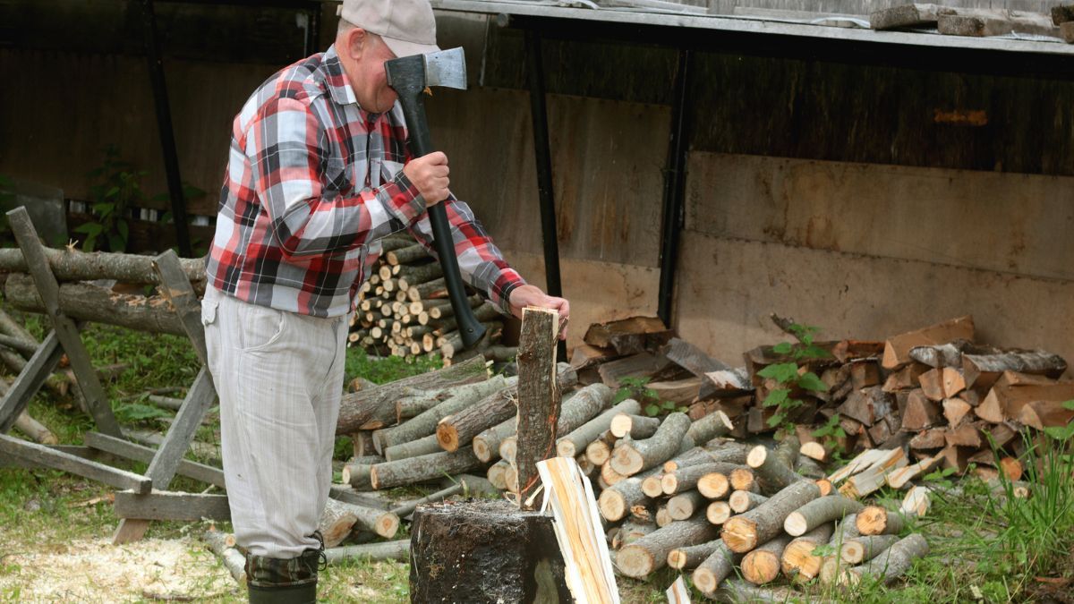Как купить дрова в лесхозе Как купить дрова в лесхозе