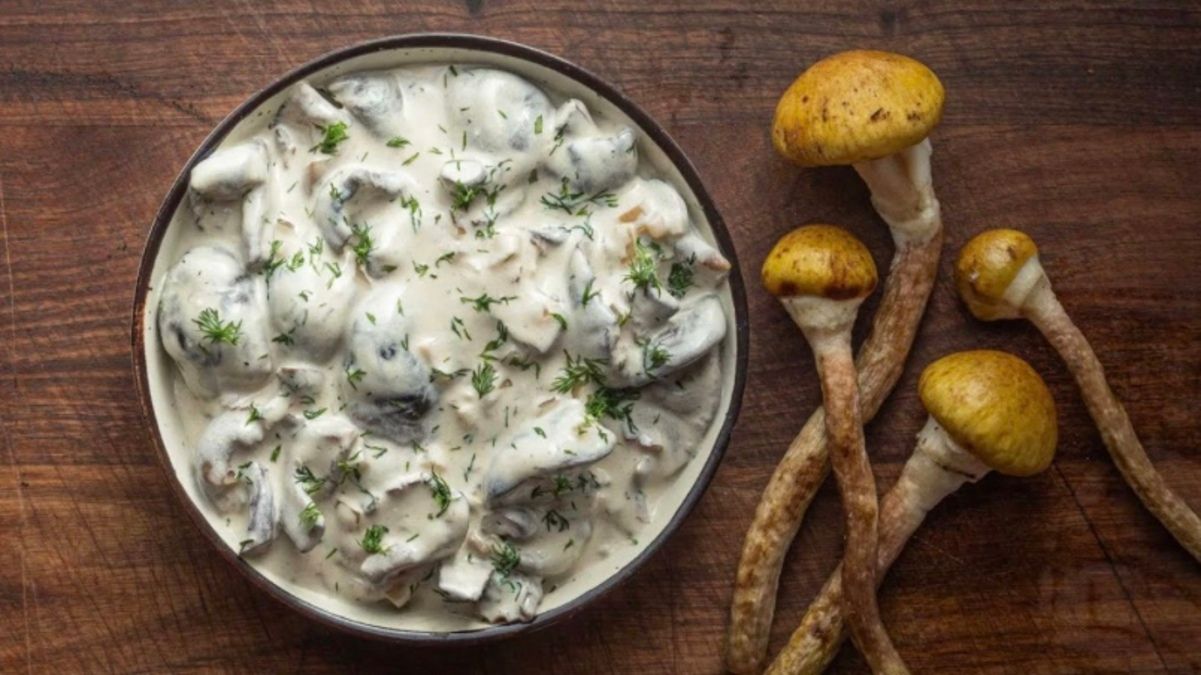 Белые грибы в сметане Белые грибы в сметане