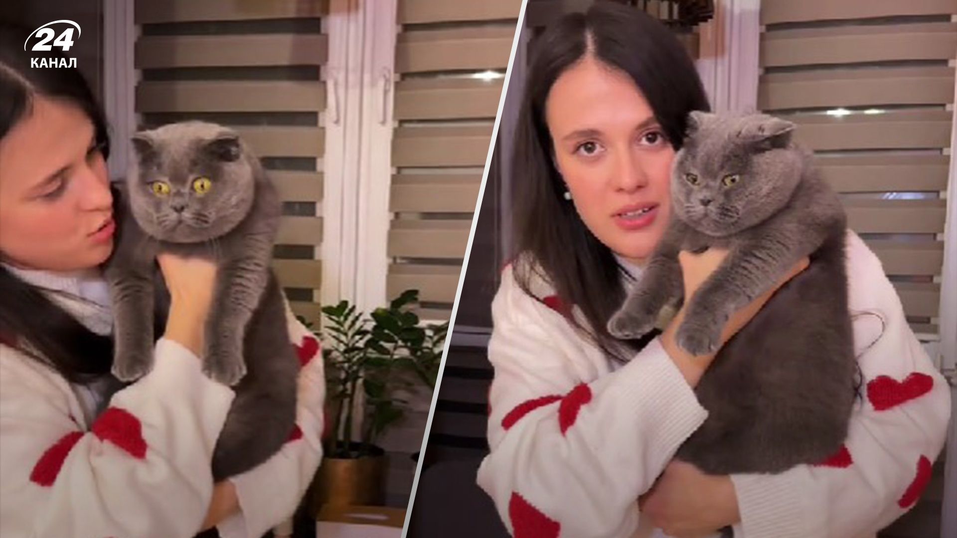 У тіктоці завірусився новий челендж з котиками - у чому він полягає У тіктоці завірусився новий челендж з котиками - у чому він полягає