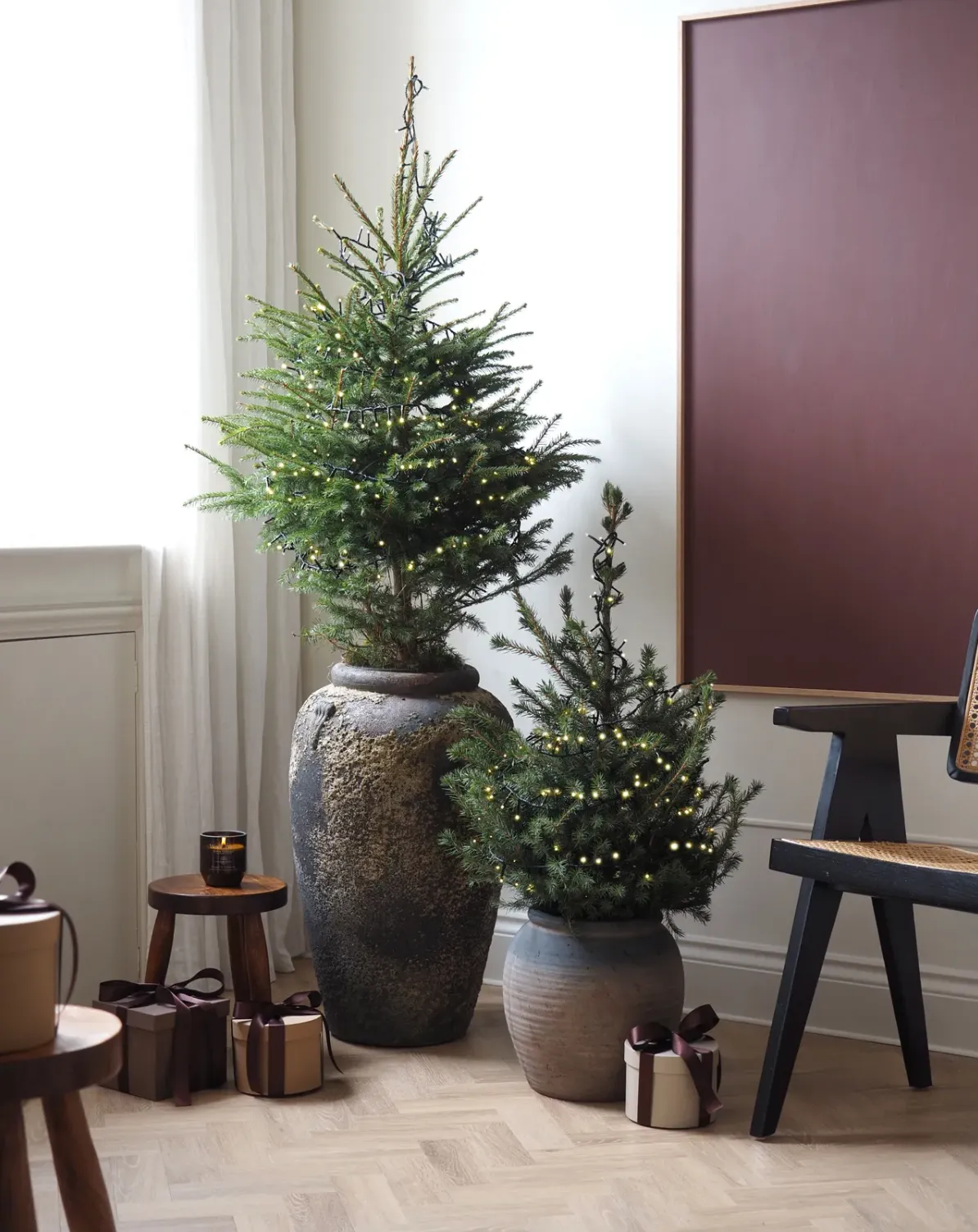 елка в горшке елка в горшке