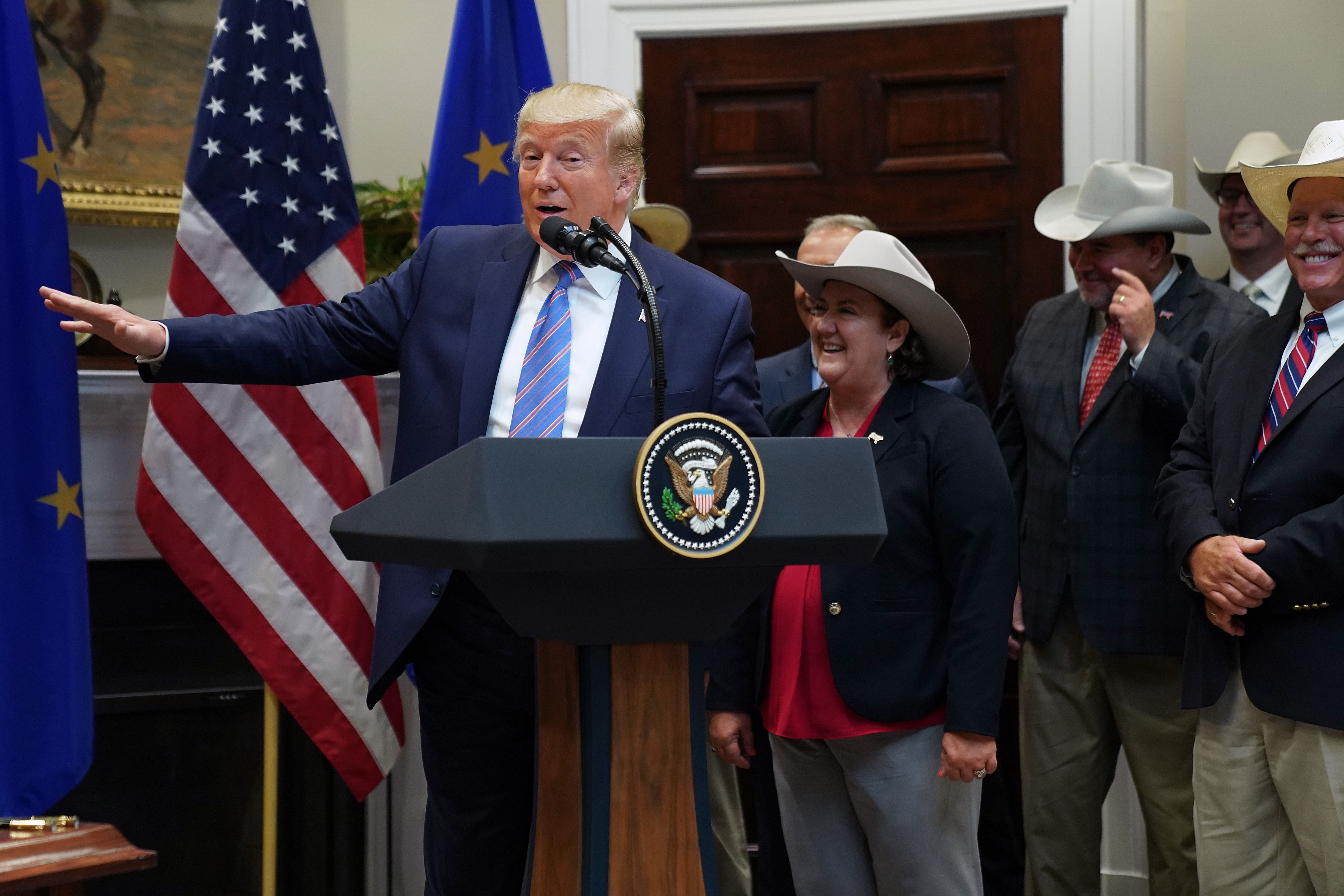 ЄС хоче "подружитися" Трампом, щоб не переплачувати за імпорт