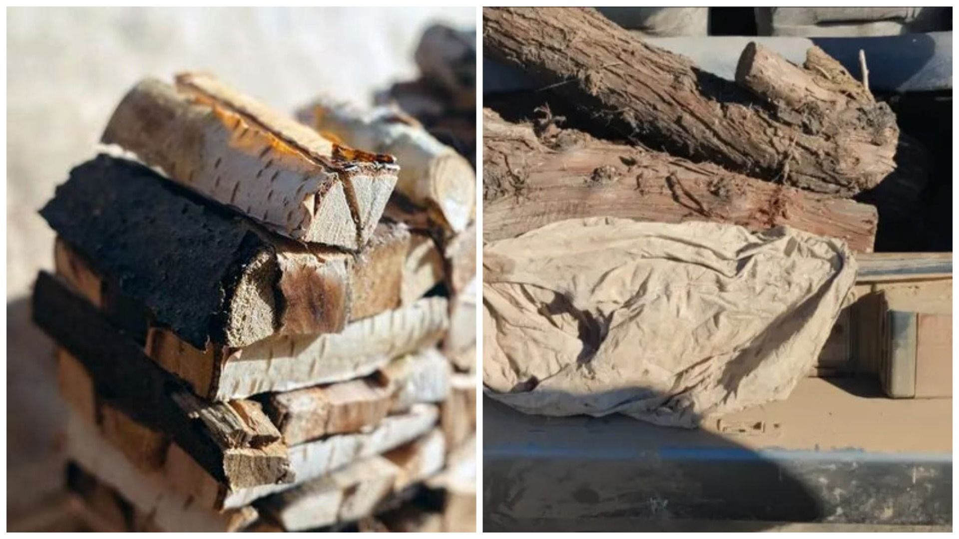 На Николаевщине оштрафовали мужчину, который вез в багажнике авто дрова - 24 Канал На Николаевщине оштрафовали мужчину, который вез в багажнике авто дрова - 24 Канал