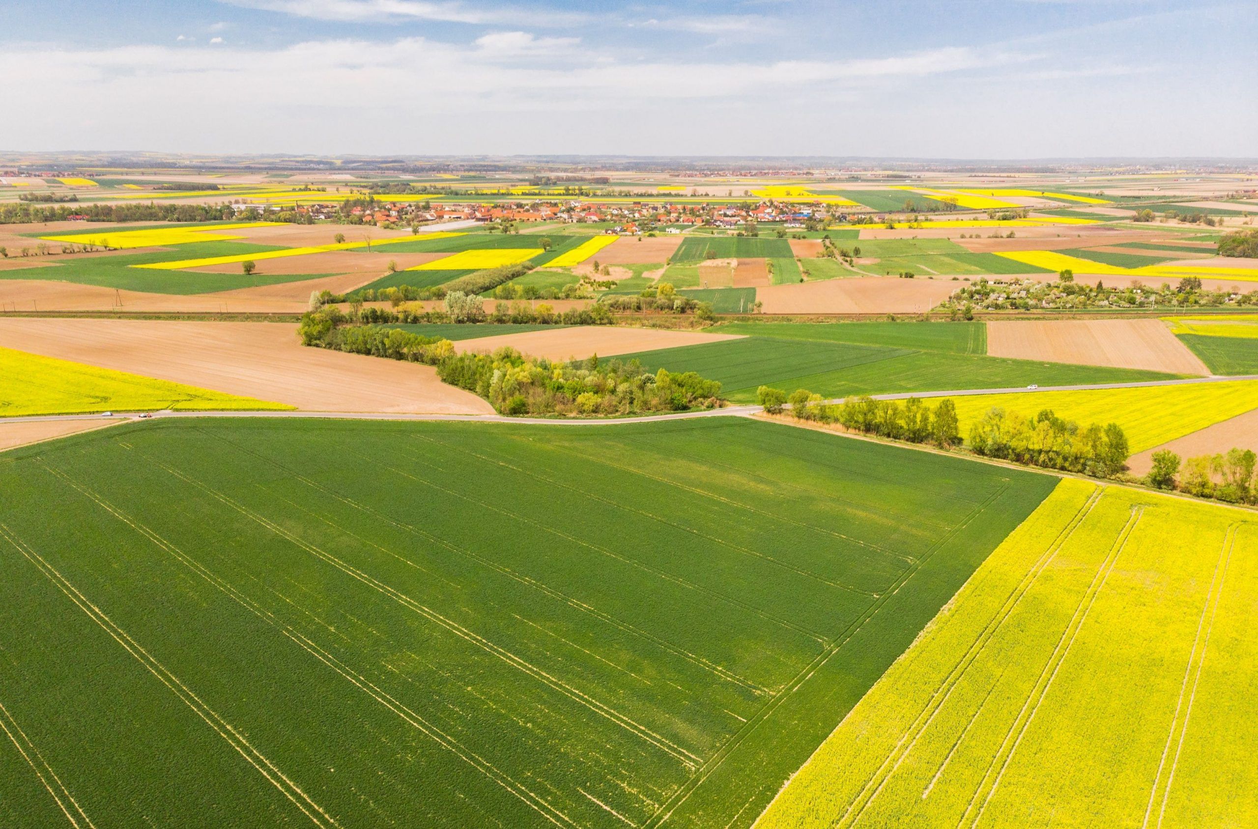 Перереєстрація земельної ділянки