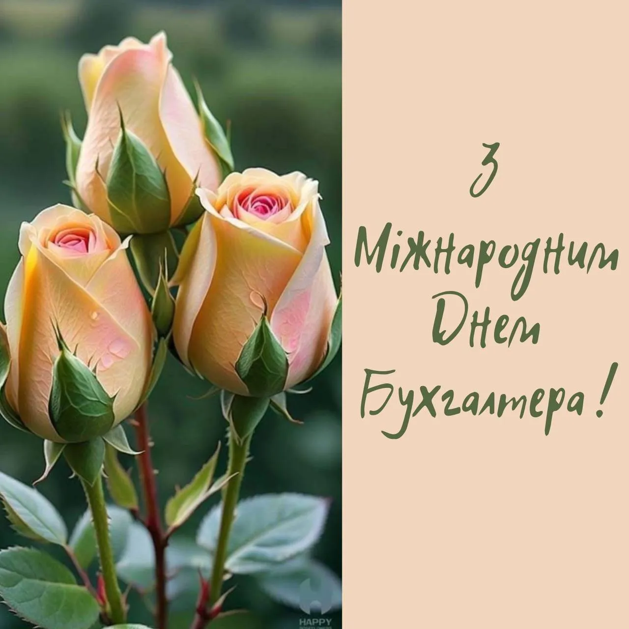 Поздравления с Международным днем бухгалтера 2024 Поздравления с Международным днем бухгалтера 2024