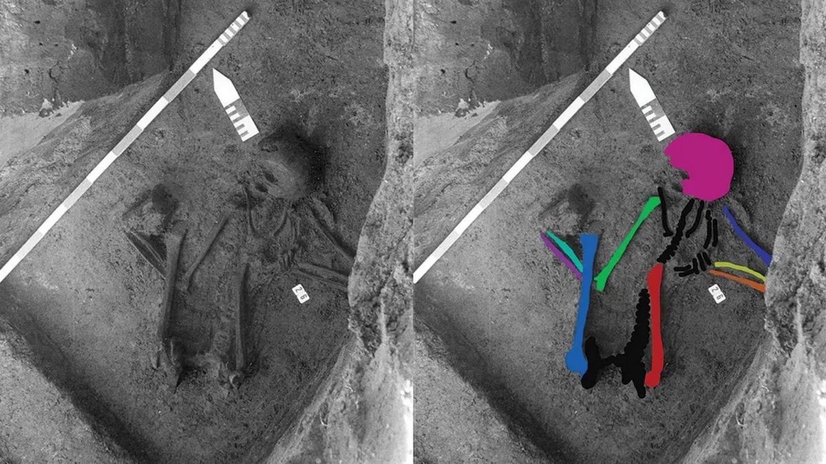 Ученые разгадывают тайну скелета, составленного из останков 5 людей разных эпох Ученые разгадывают тайну скелета, составленного из останков 5 людей разных эпох