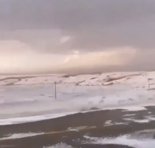 У Саудівській Аравії справжня зимова казка У Саудівській Аравії справжня зимова казка