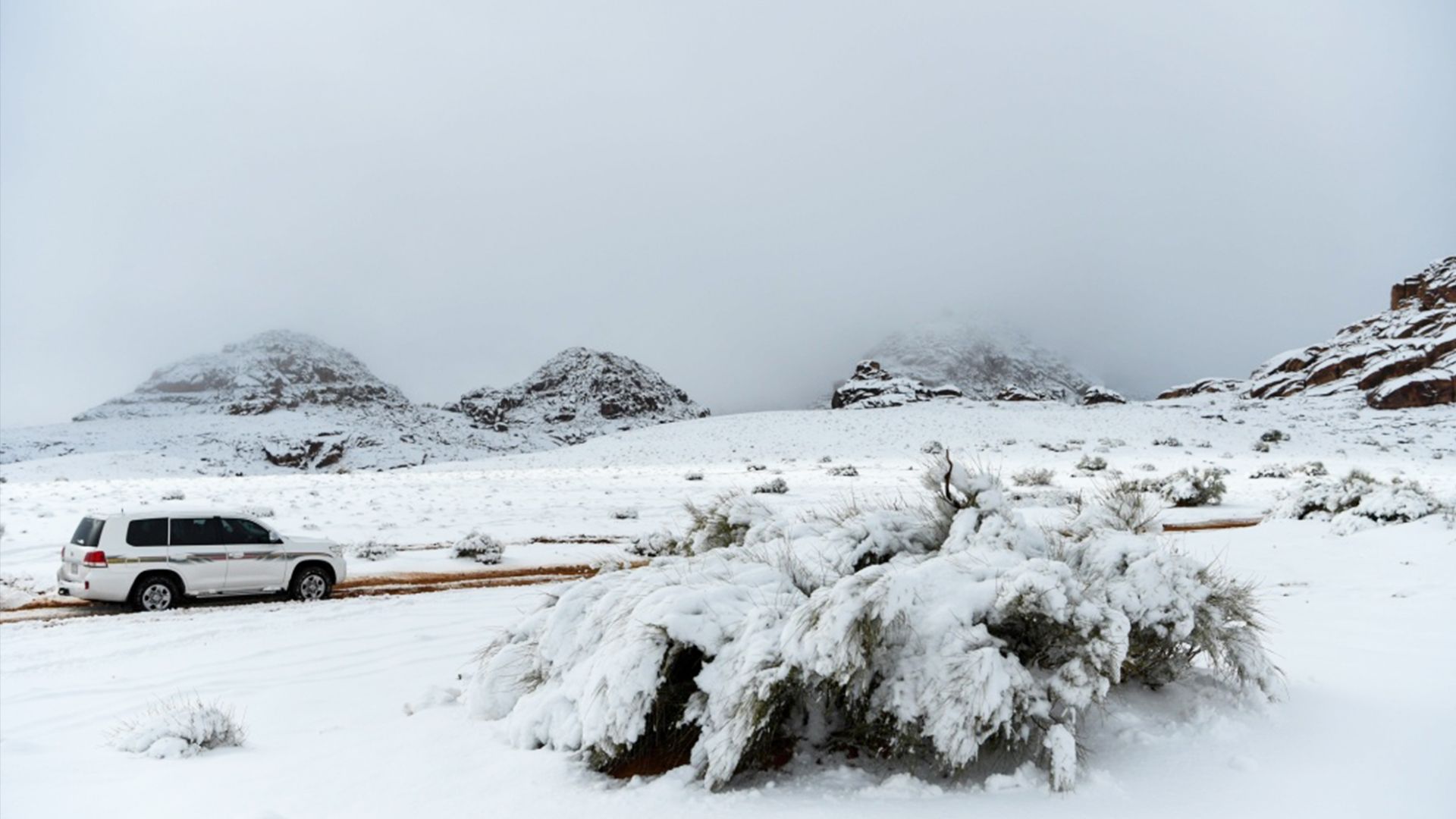 Зимняя сказка в Саудовской Аравии Зимняя сказка в Саудовской Аравии