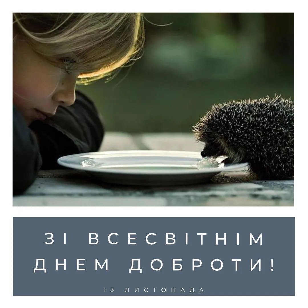 Поздравления со Всемирным днем доброты 2024 Поздравления со Всемирным днем доброты 2024