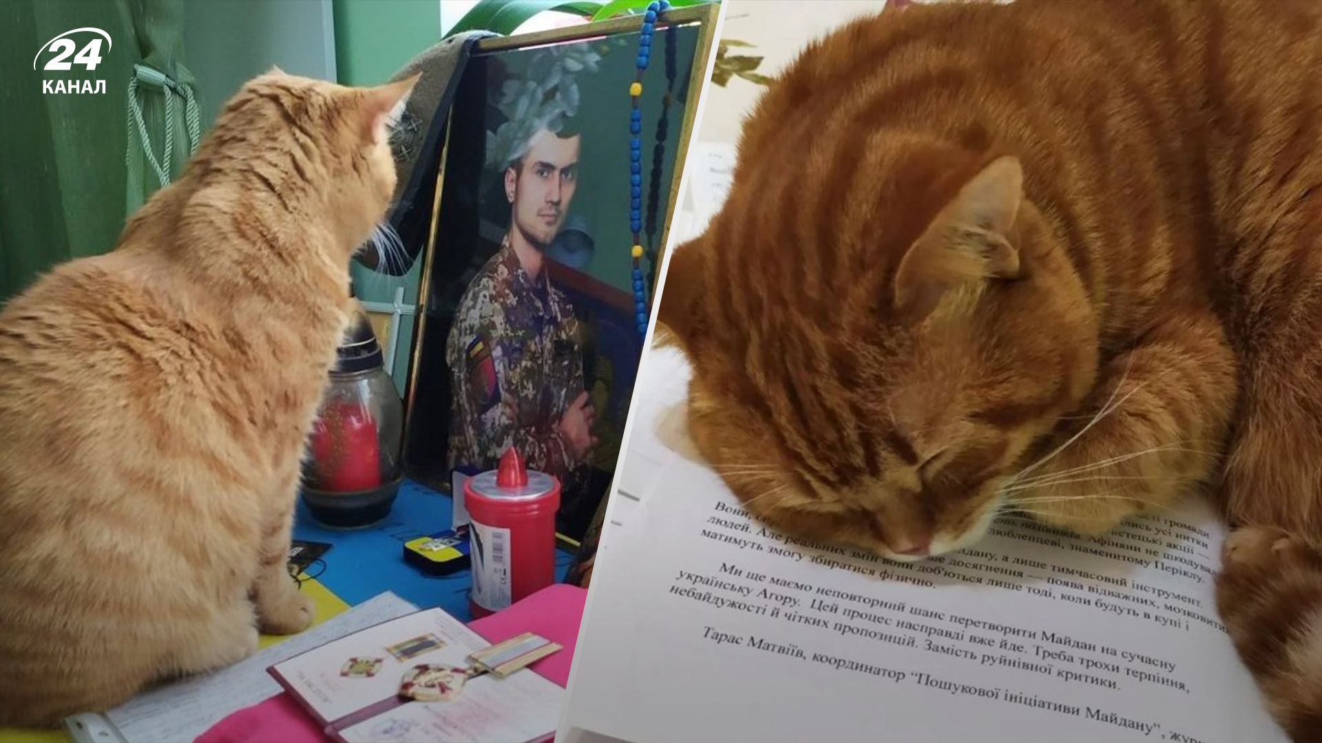 Кіт Марс біля портрета Тараса Матвіїва Кіт Марс біля портрета Тараса Матвіїва