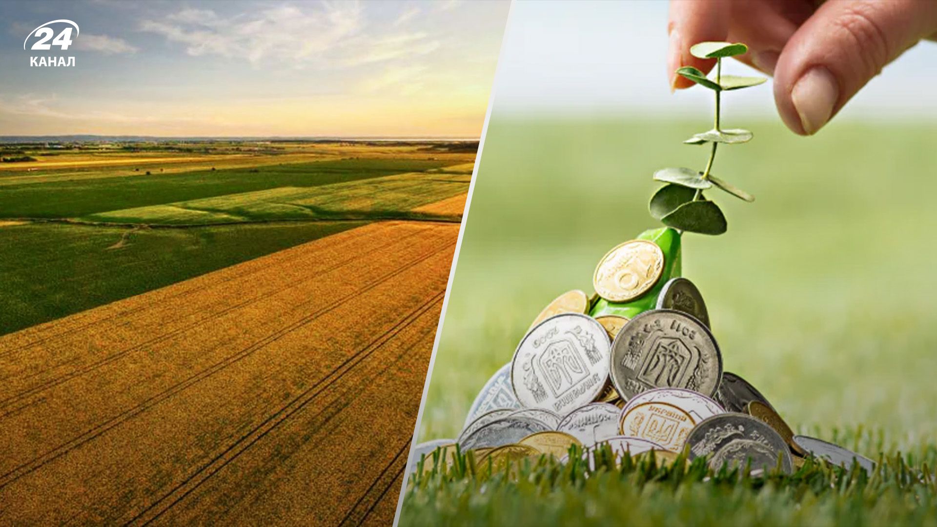 Какой размер налога на землю Какой размер налога на землю