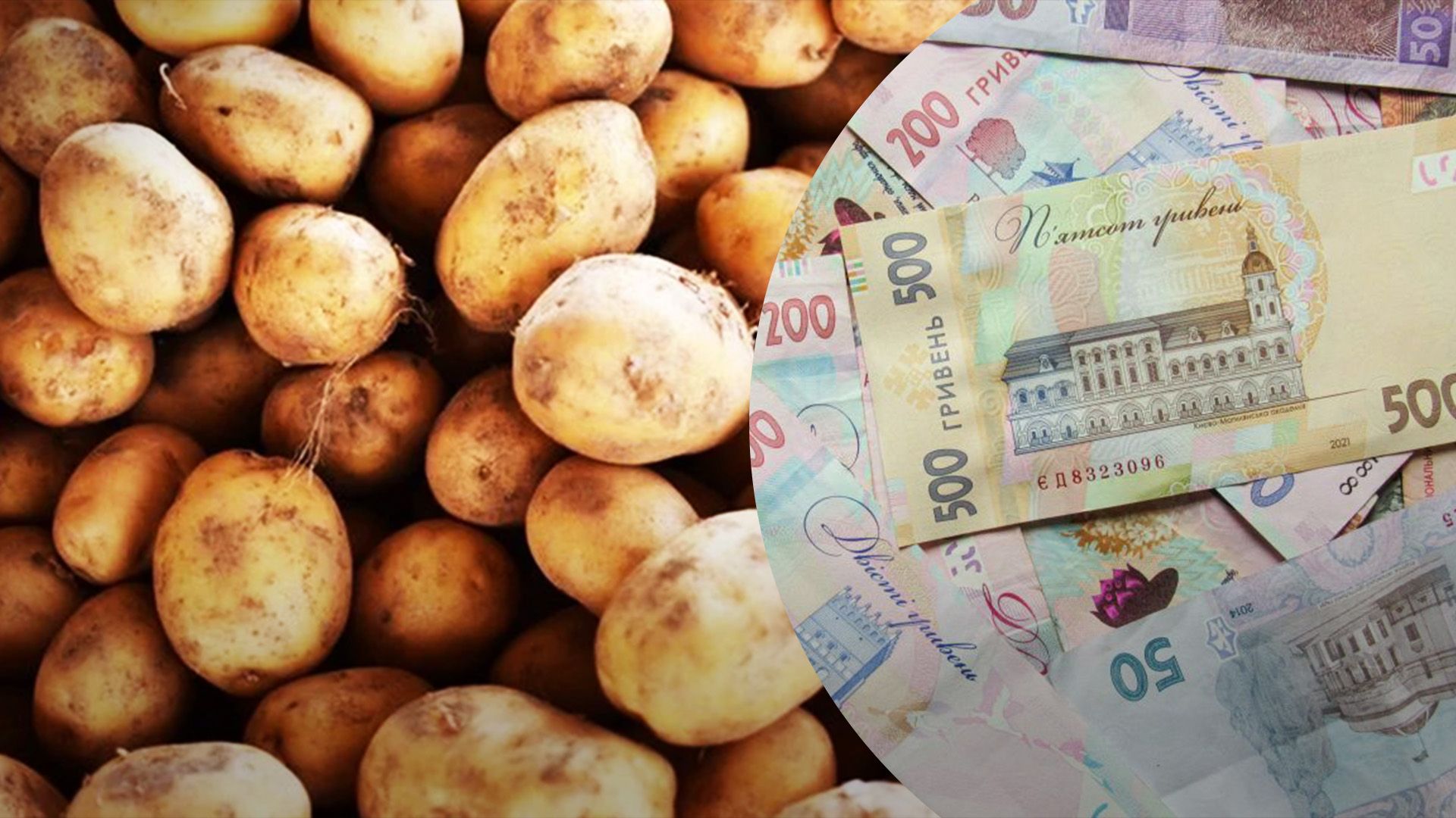 Чому дорожчає картопля у 2024 році Чому дорожчає картопля у 2024 році