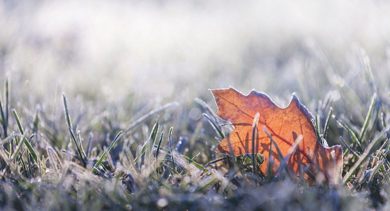 В Україні очікують мокрий сніг В Україні очікують мокрий сніг