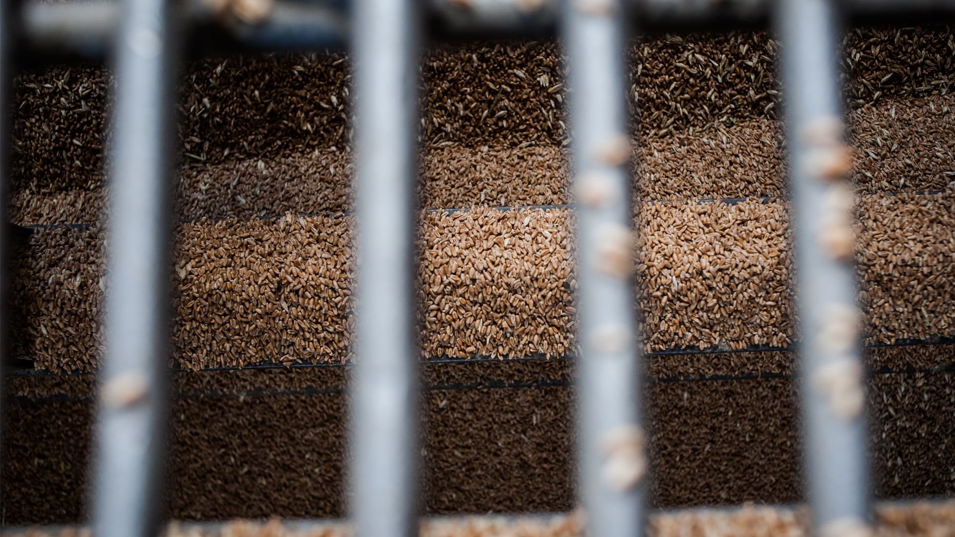 Лисянський прокоментував ситуацію на окупованих територіях Лисянський прокоментував ситуацію на окупованих територіях