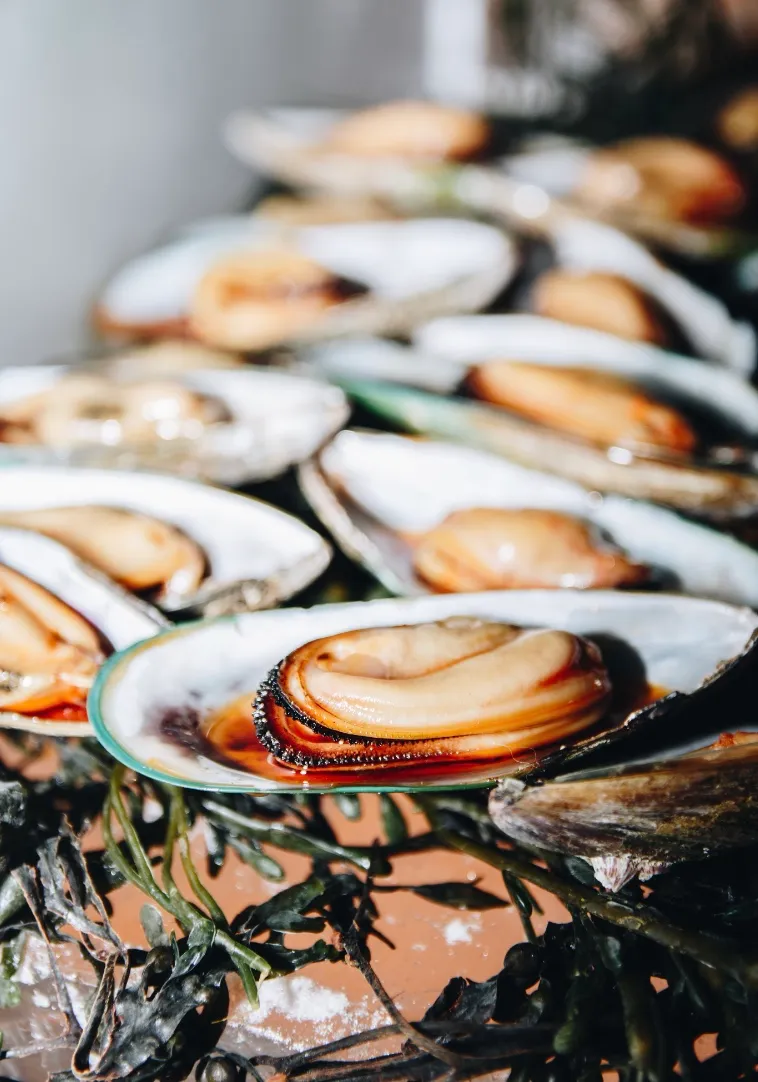 У Греції через екстремальну спеку загинули майже всі мідії У Греції через екстремальну спеку загинули майже всі мідії