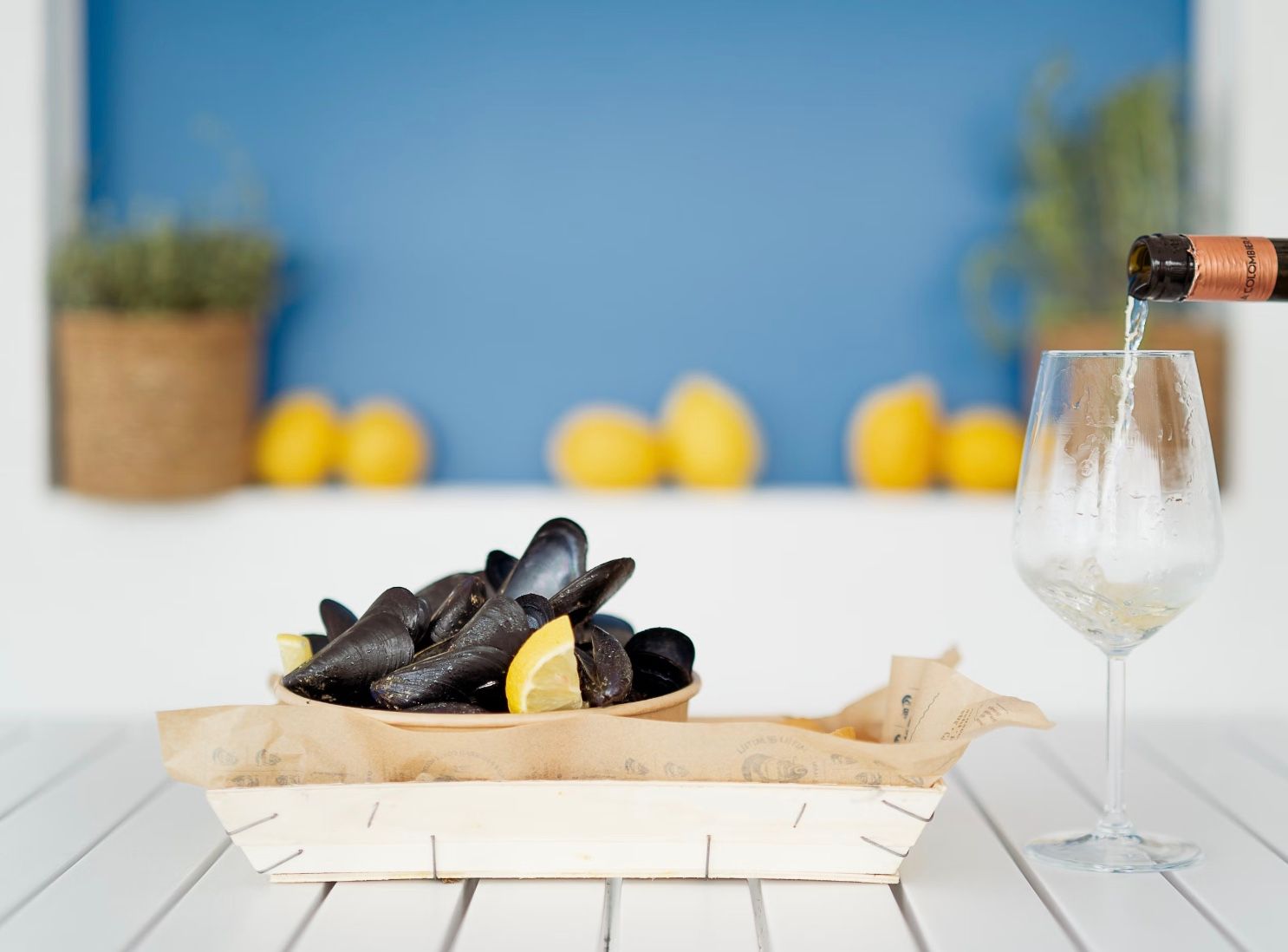 В Греции из-за экстремальной жары погибли почти все мидии В Греции из-за экстремальной жары погибли почти все мидии