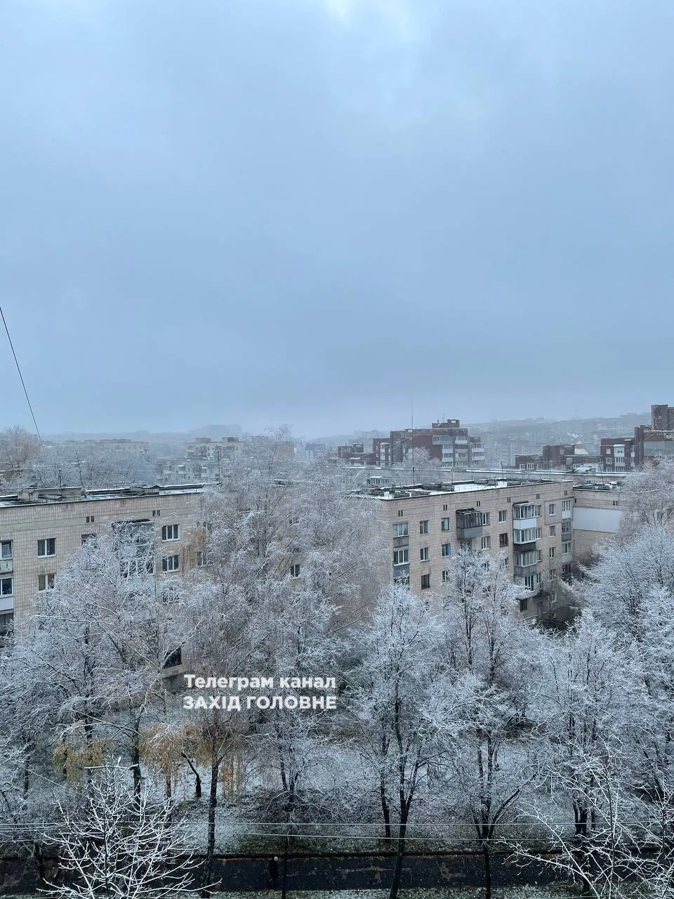 сніг на Заході України 13 листопада 2024 - фото