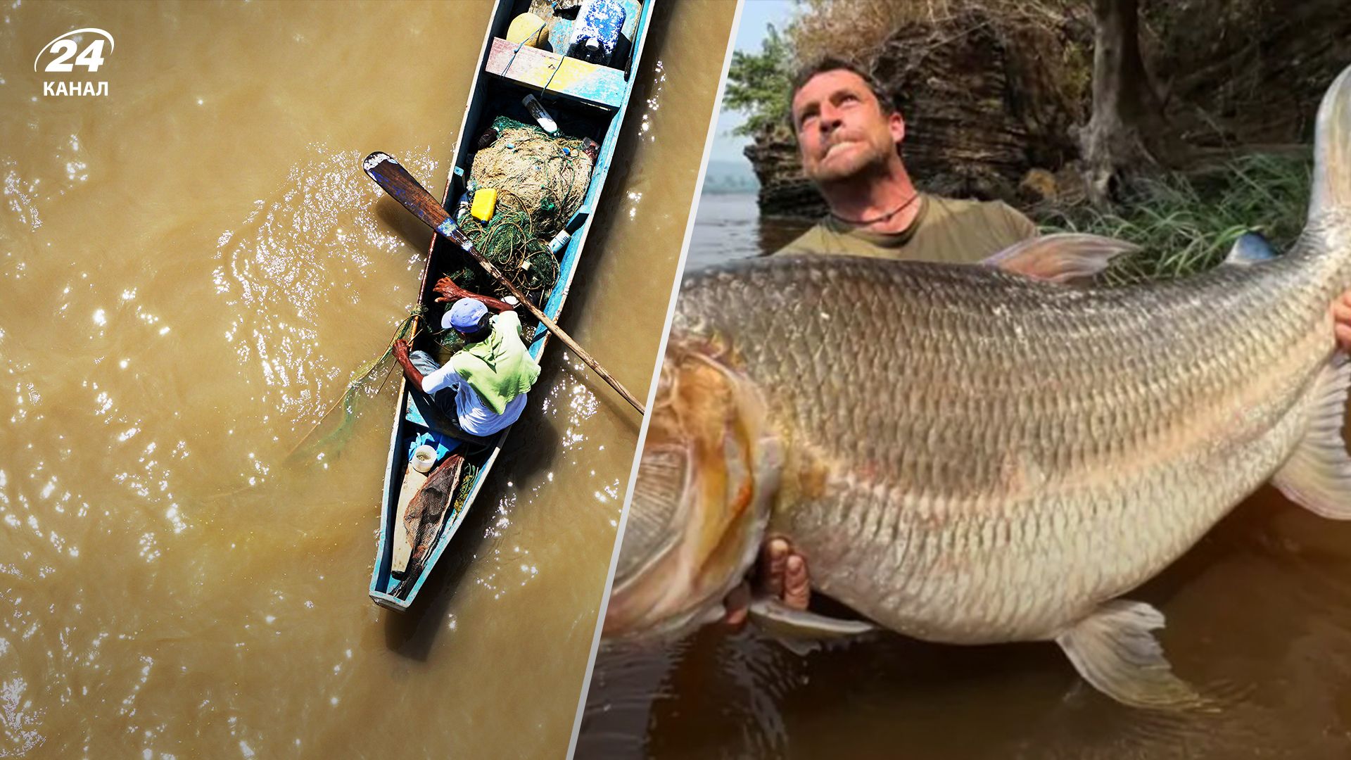 Британець показав, яких рідкісних риб він знаходив - фото річкових монстрів Британець показав, яких рідкісних риб він знаходив - фото річкових монстрів