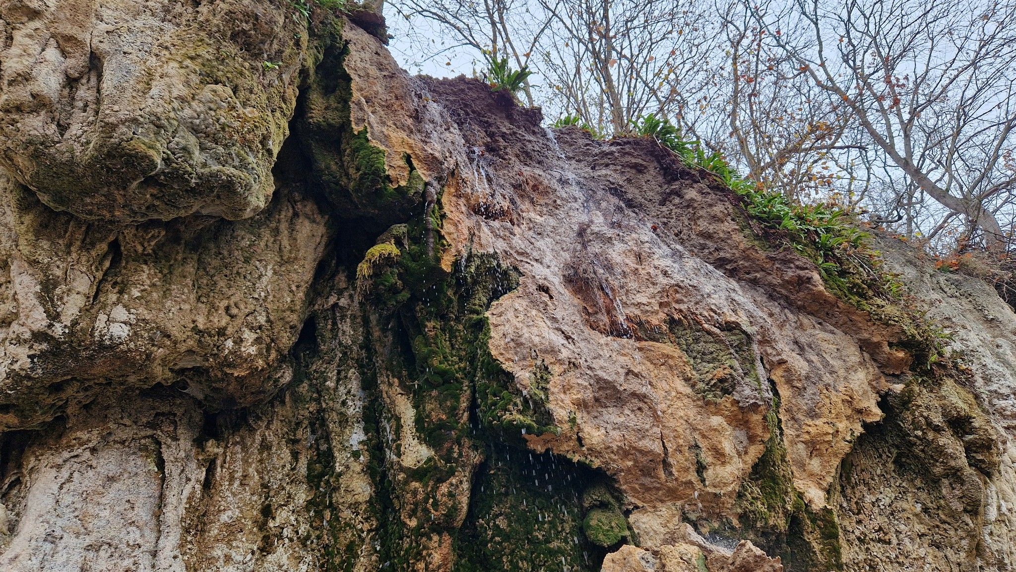 На Тернопільщині обвалилася скеля з мальовничим водоспадом "Дівочі сльози" – фото - 24 Канал На Тернопільщині обвалилася скеля з мальовничим водоспадом "Дівочі сльози" – фото - 24 Канал
