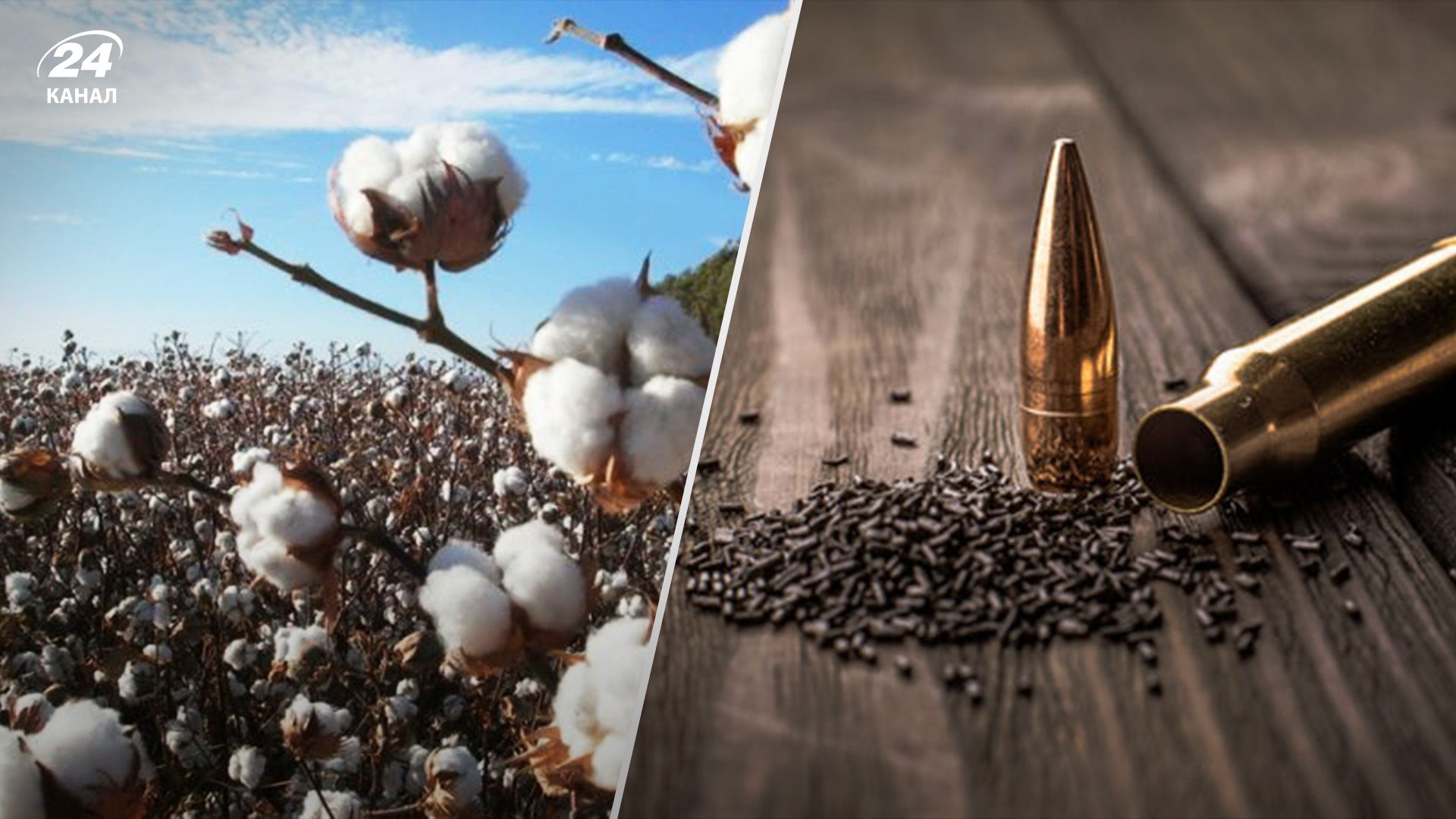 Сколько Украине нужно хлопка Сколько Украине нужно хлопка