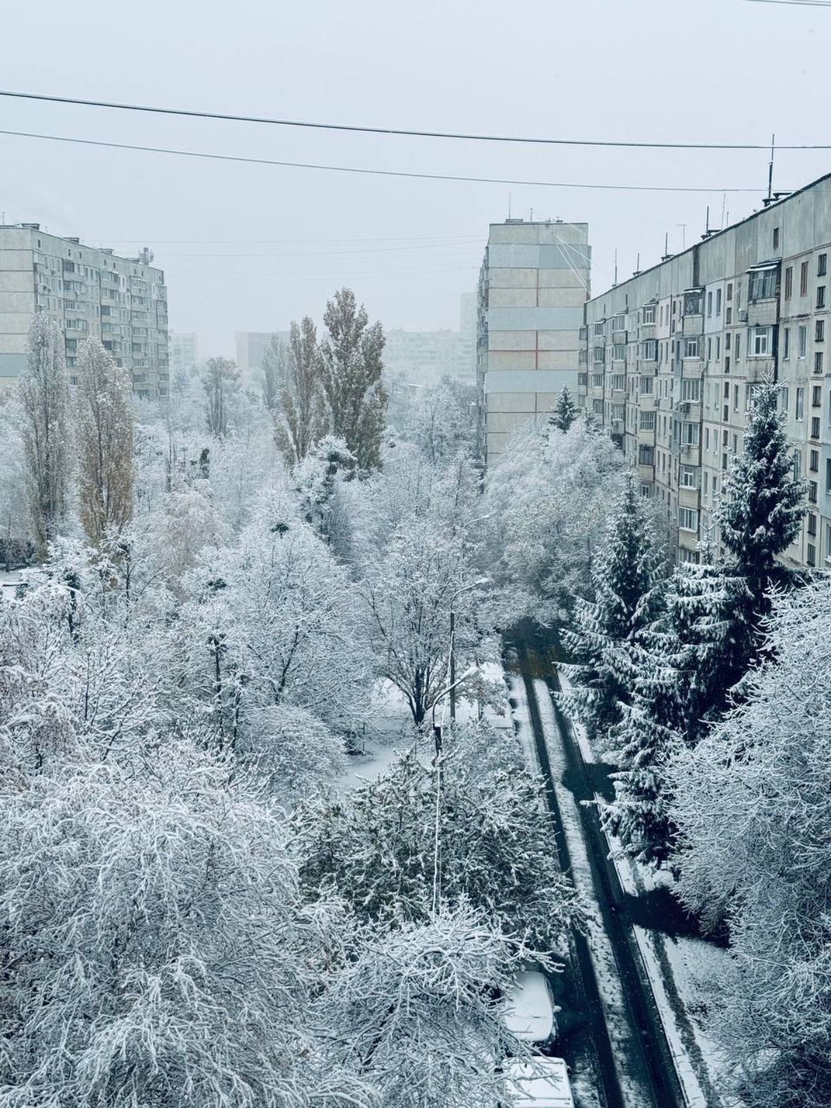 Сніг в Україні