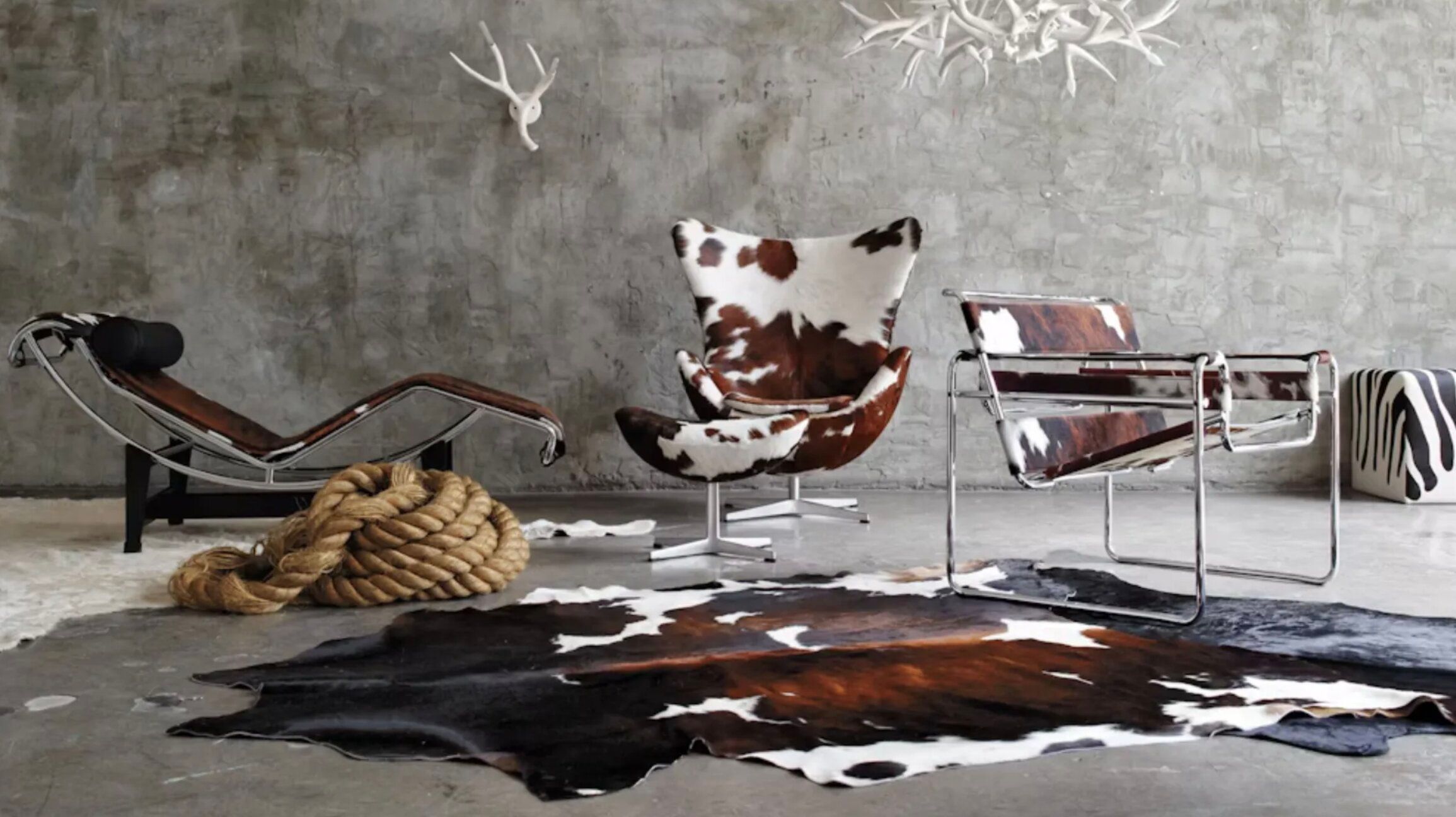 Найтрендовішим принтом 2025 стане принт корови Найтрендовішим принтом 2025 стане принт корови