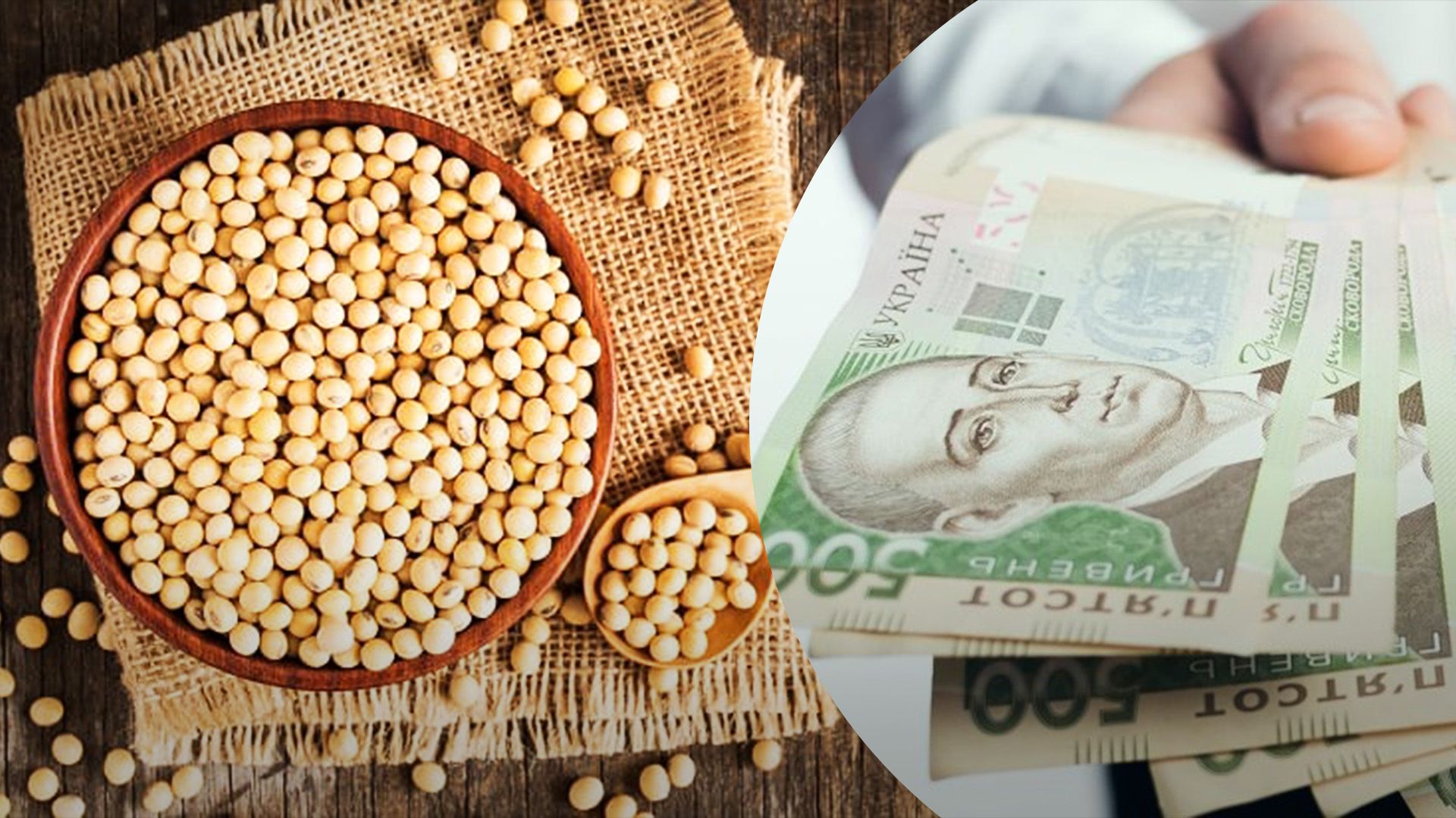 Соя стрімко дешевшає Соя стрімко дешевшає