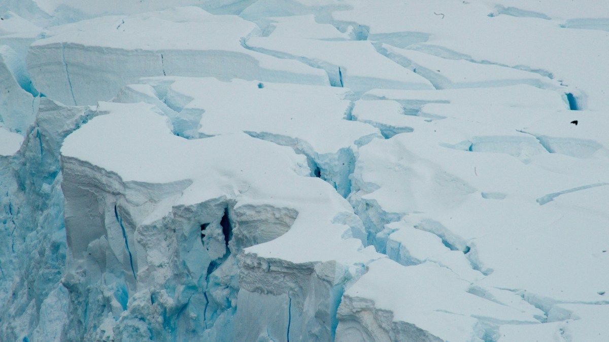 Открытие янтаря в Антарктиде в очередной раз свидетельствует о древних лесах на континенте Открытие янтаря в Антарктиде в очередной раз свидетельствует о древних лесах на континенте