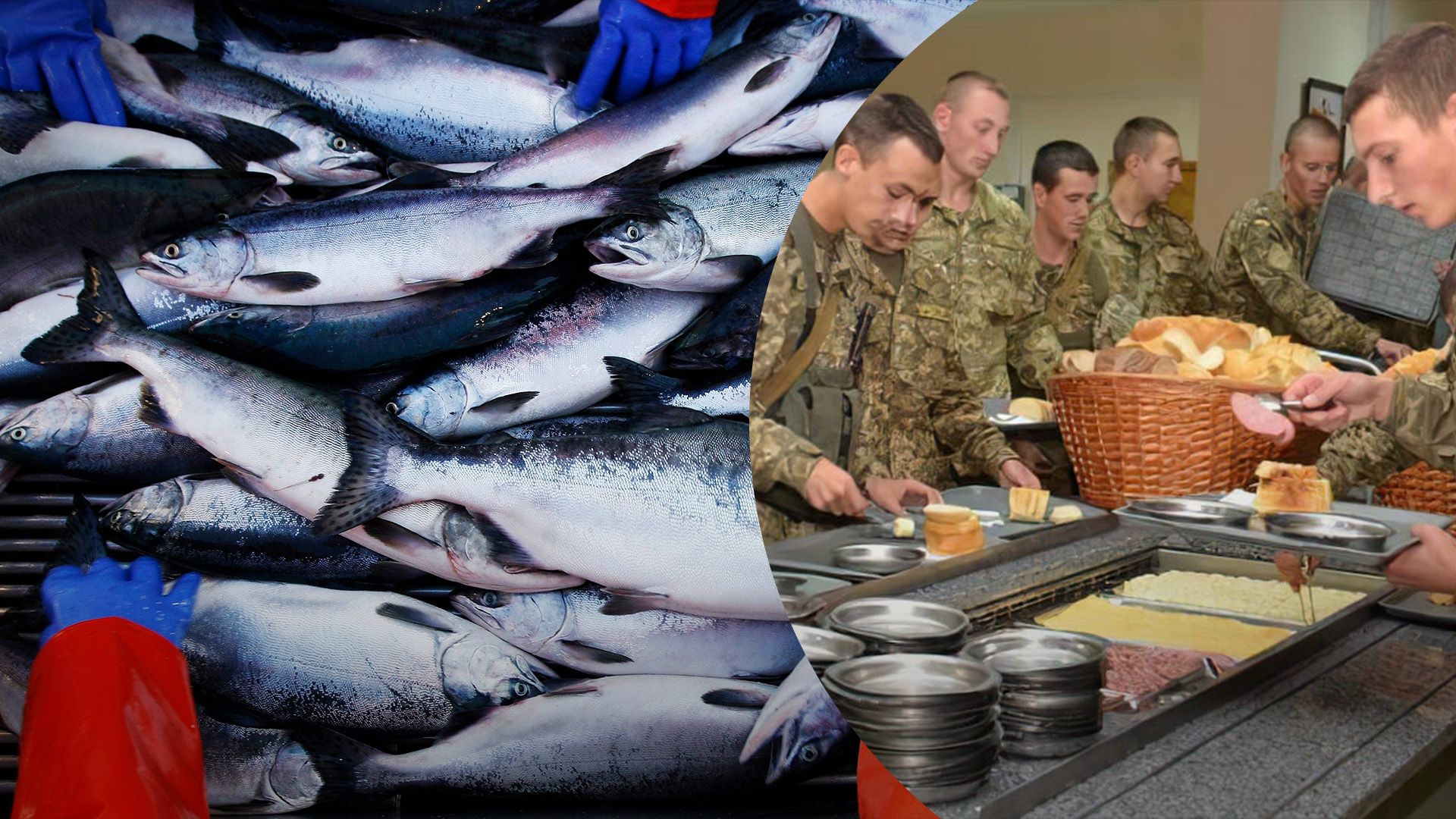 Імпортозаміщення у держзакупівлях риби шкідливе Імпортозаміщення у держзакупівлях риби шкідливе